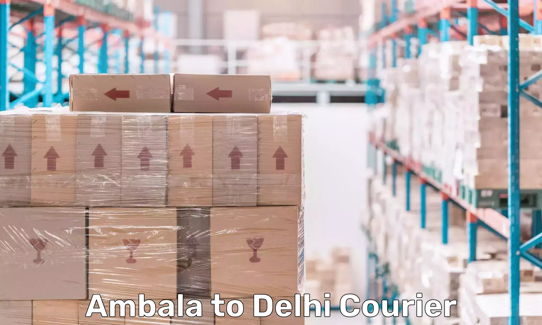 Courier insurance in Ambala to Jawaharlal Nehru University New Delhi