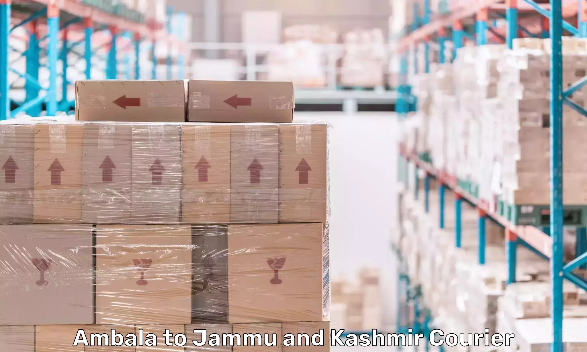 On-time shipping guarantee Ambala to University of Jammu