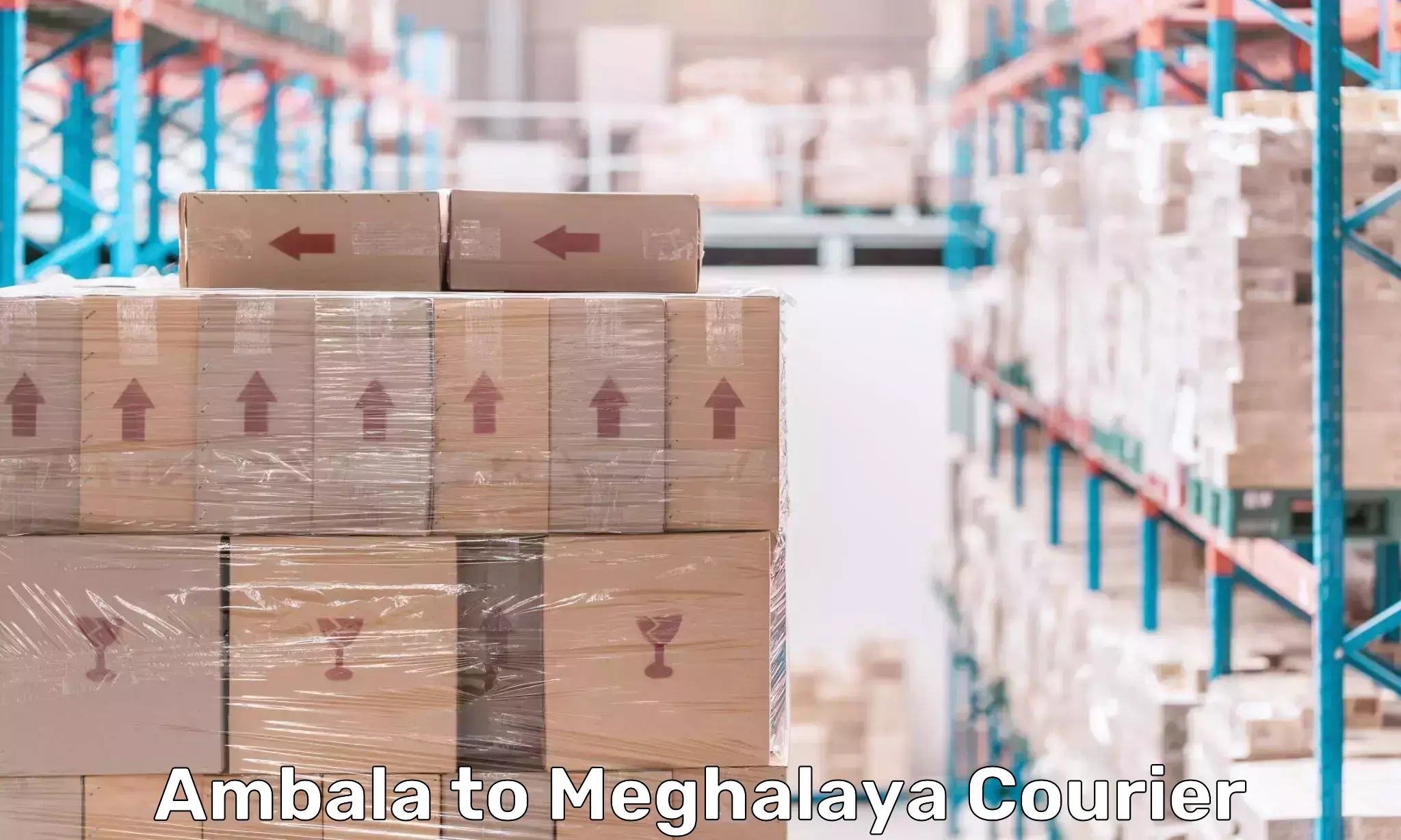 Logistics service provider Ambala to Meghalaya