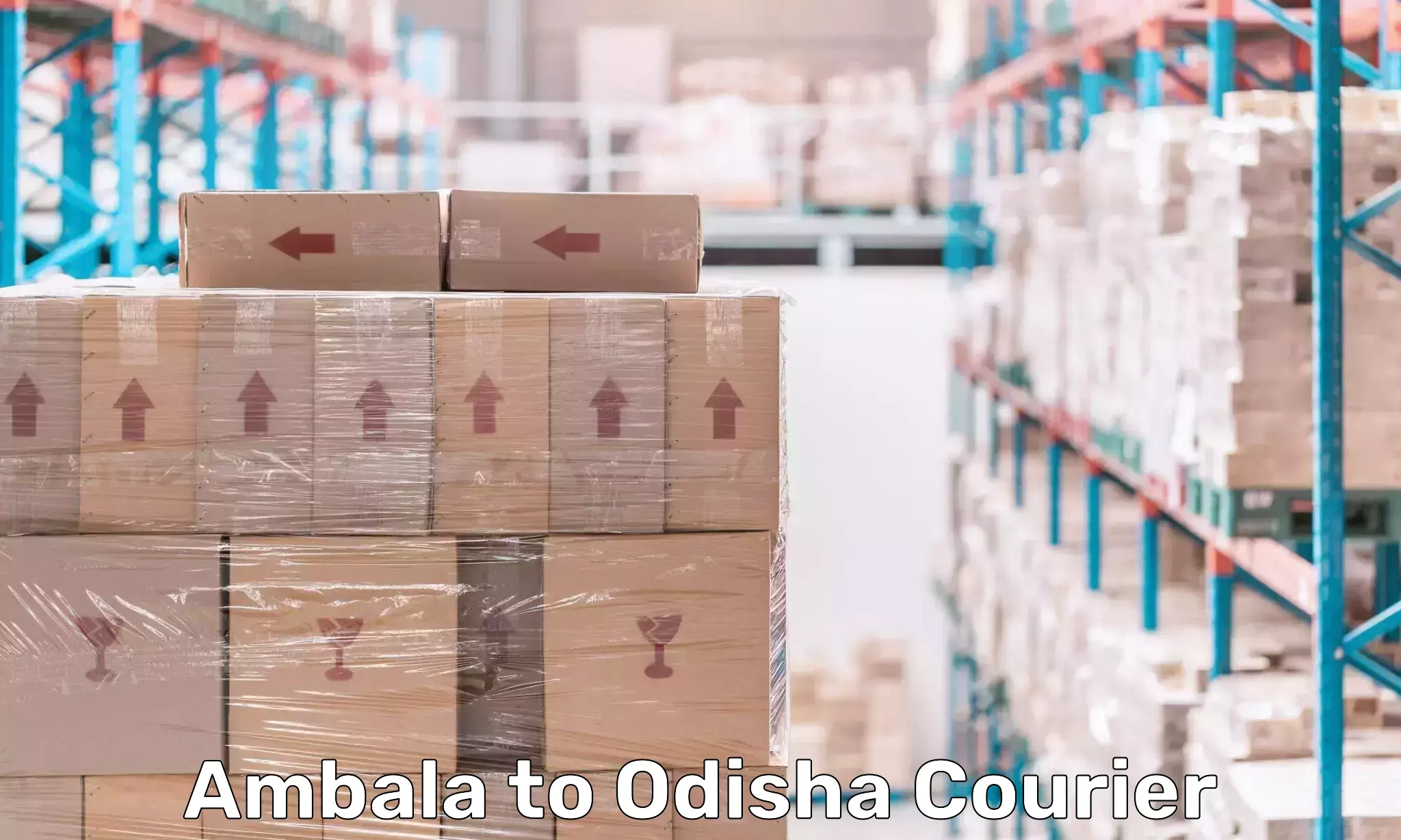 Professional courier services Ambala to Sundargarh