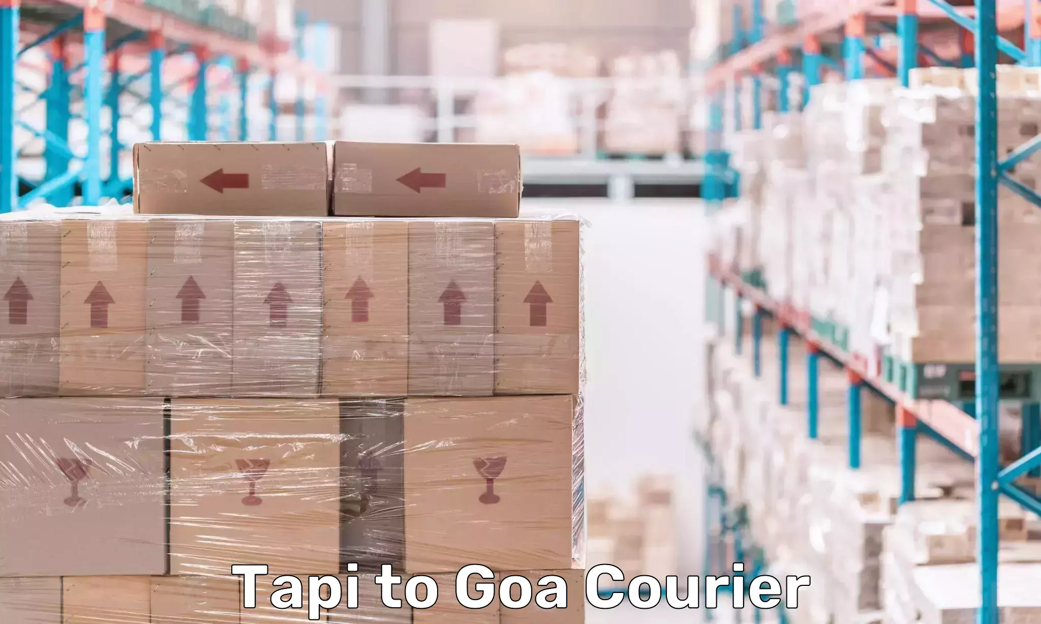 International courier networks Tapi to South Goa