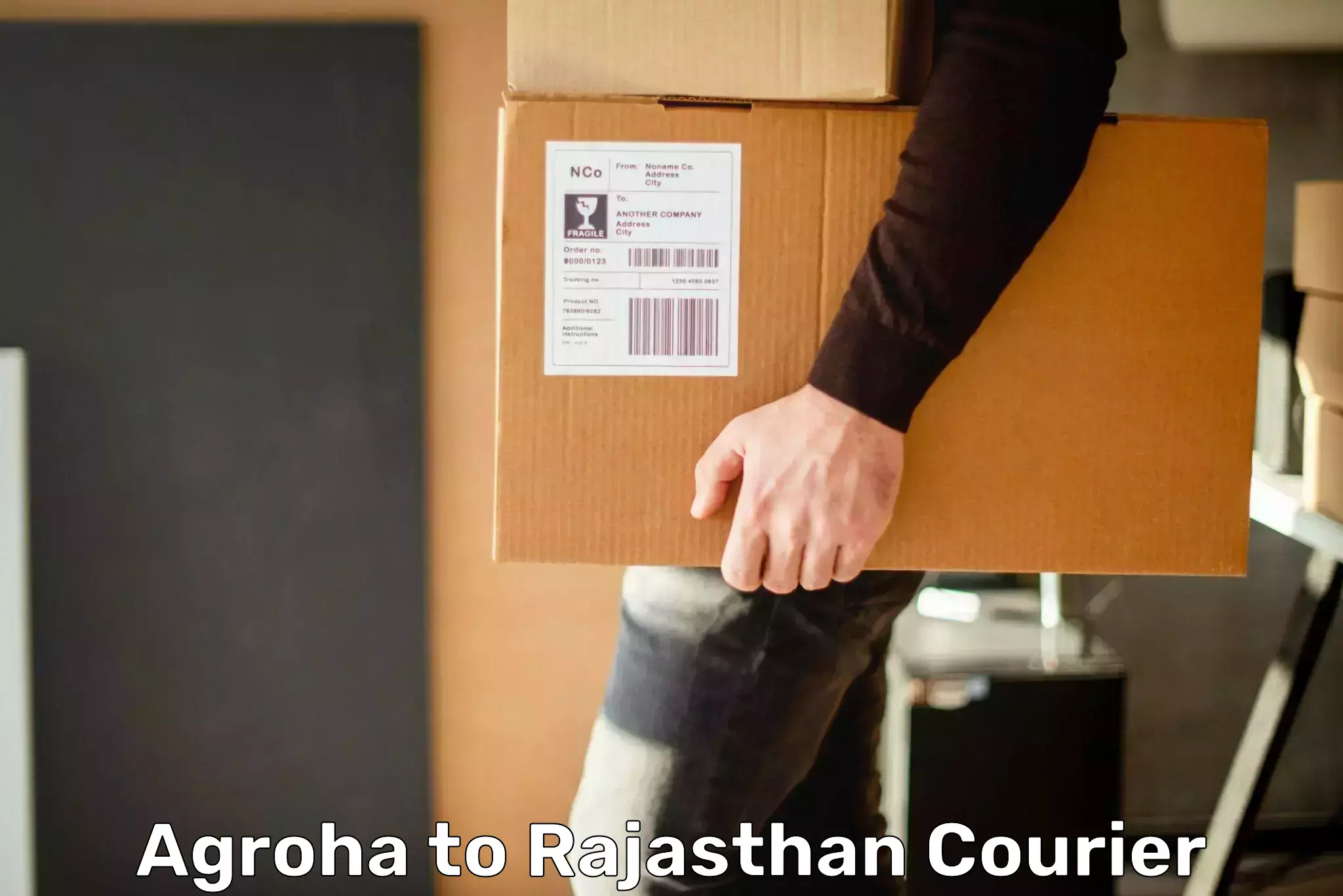 High-priority parcel service Agroha to Udaipur