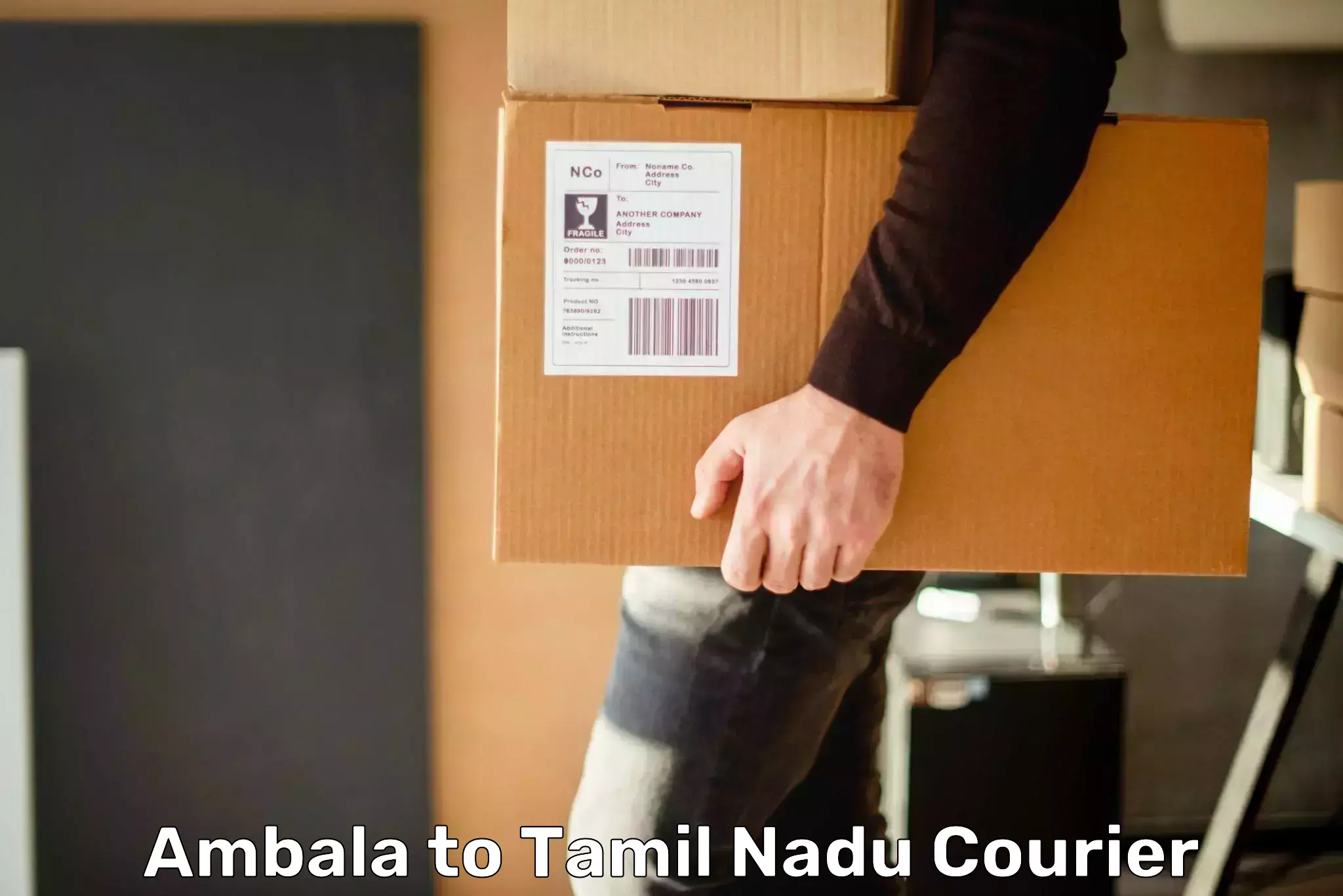 Fast parcel dispatch Ambala to Chennai