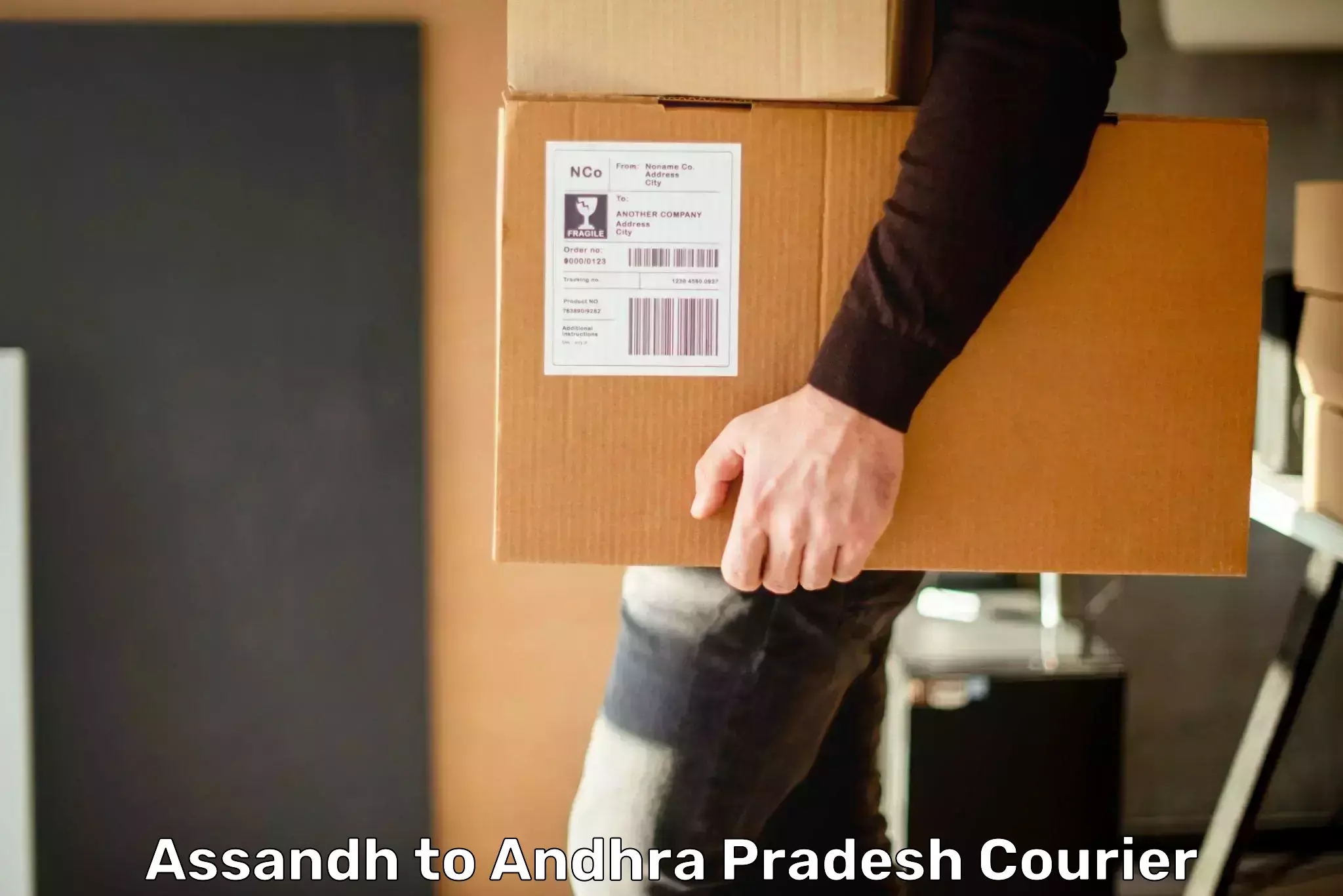 Professional courier handling Assandh to Andhra Pradesh
