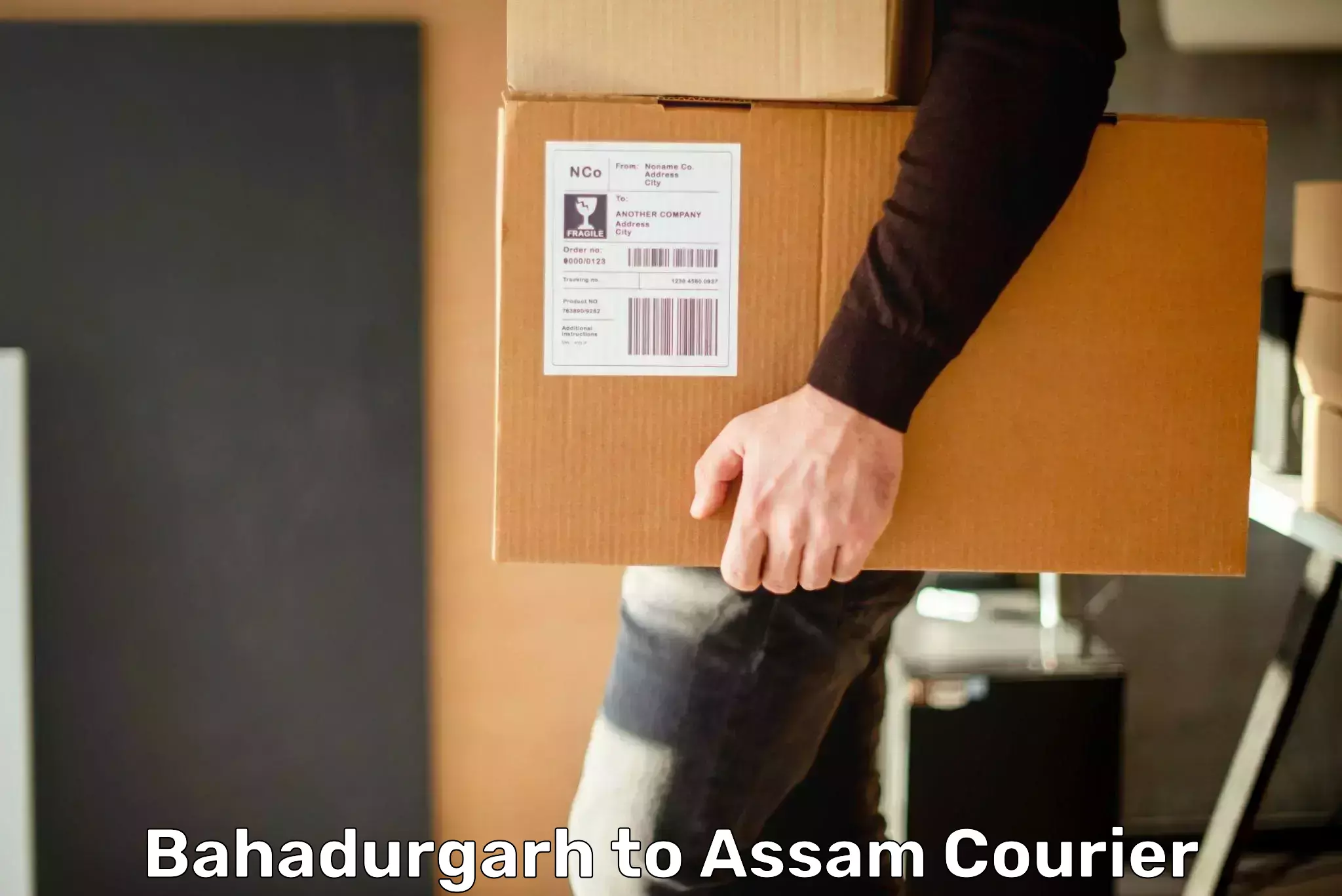 Courier service partnerships Bahadurgarh to North Lakhimpur