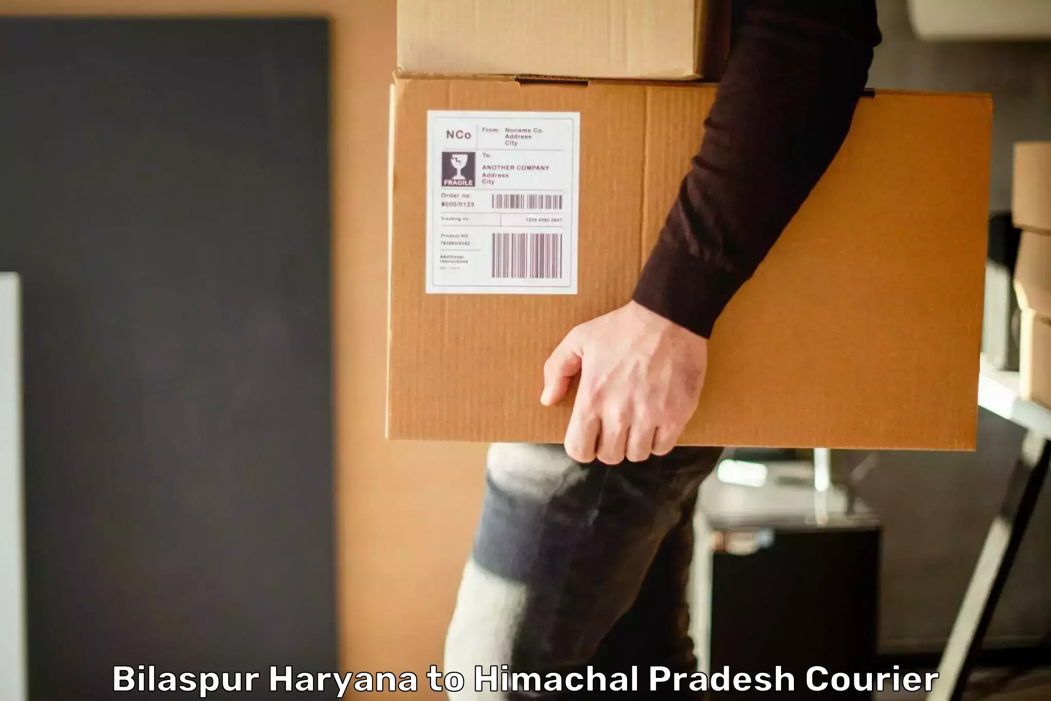 Door-to-door freight service Bilaspur Haryana to Mandi