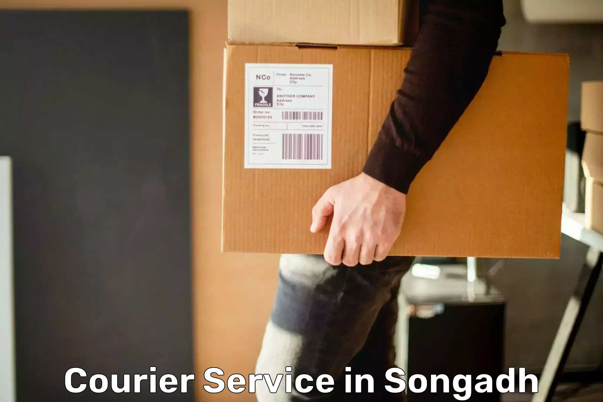 Express courier capabilities in Songadh