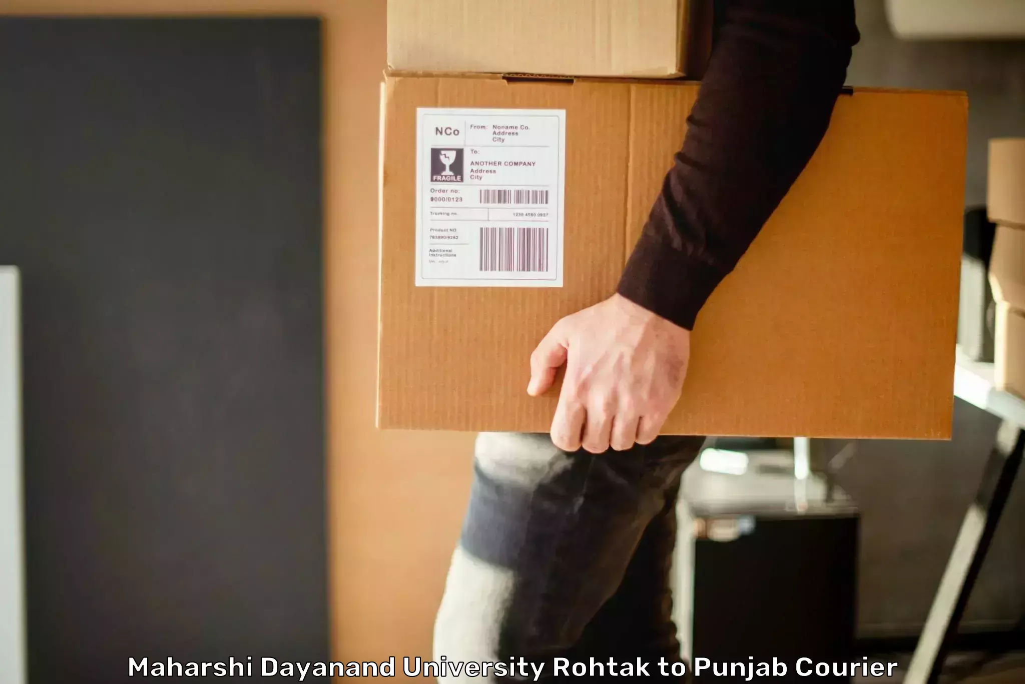 Easy access courier services Maharshi Dayanand University Rohtak to Punjab