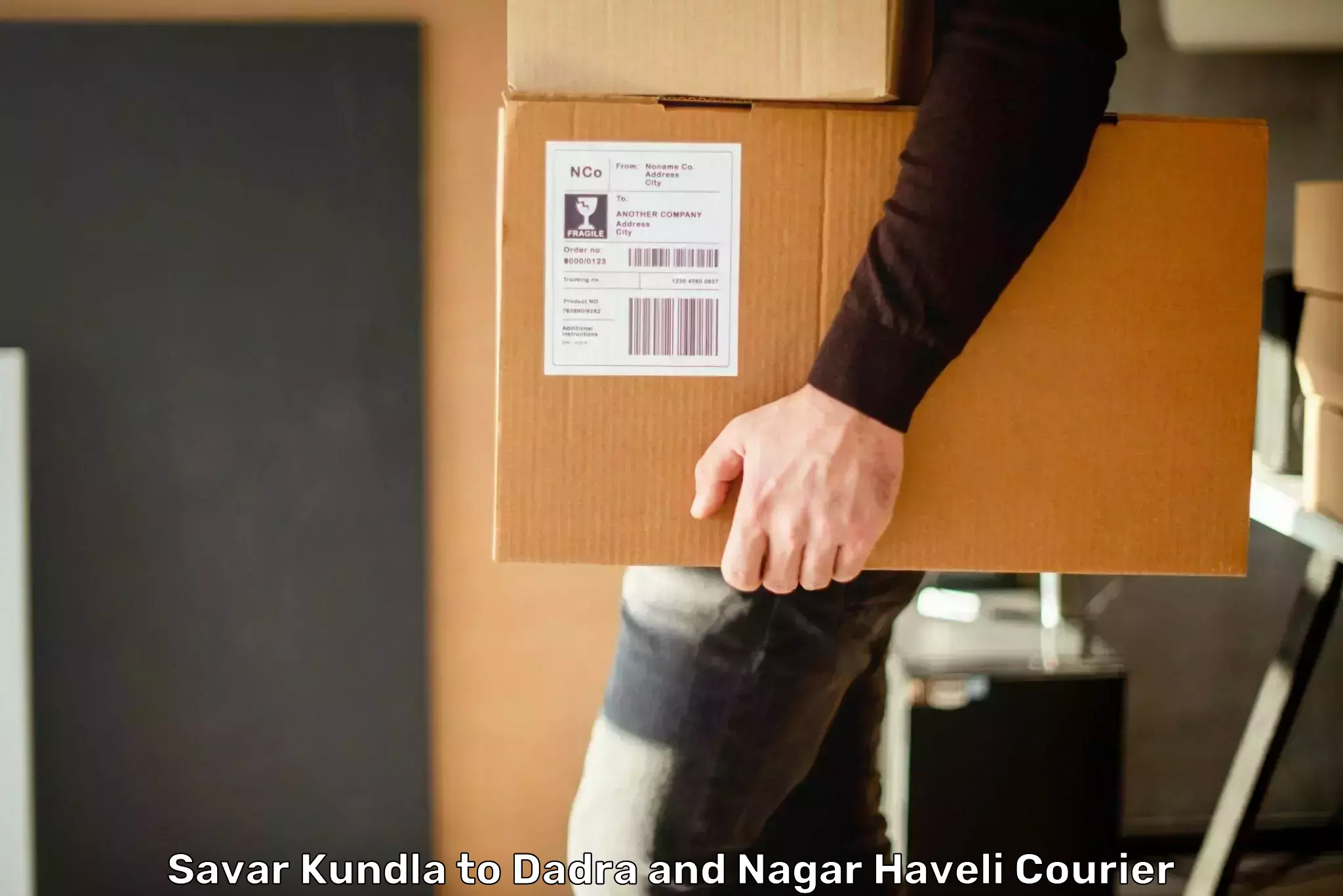 Express package delivery Savar Kundla to Silvassa