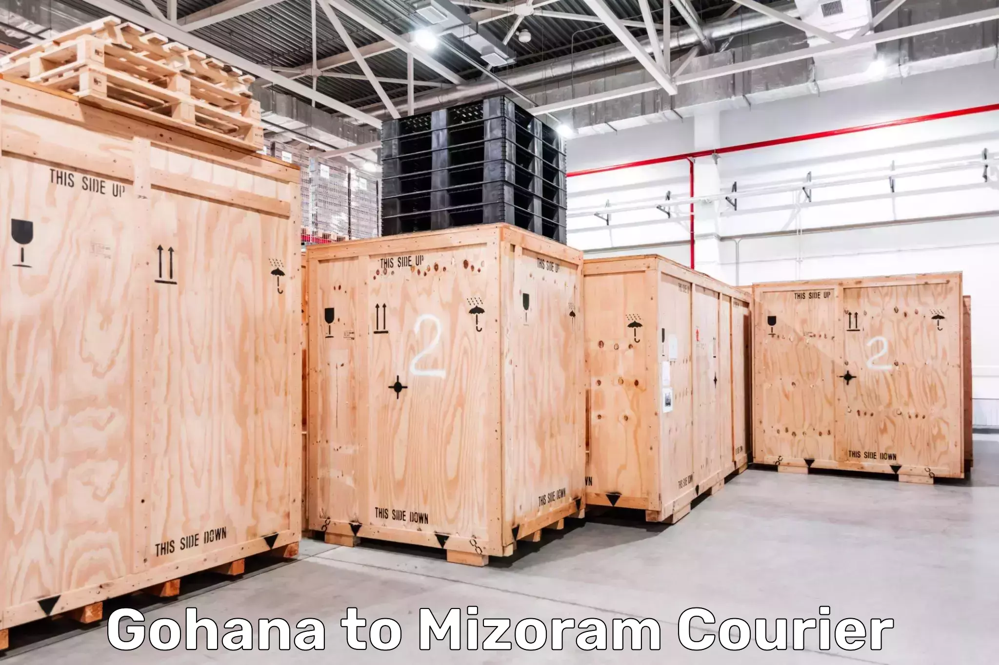 Optimized delivery routes Gohana to Mizoram