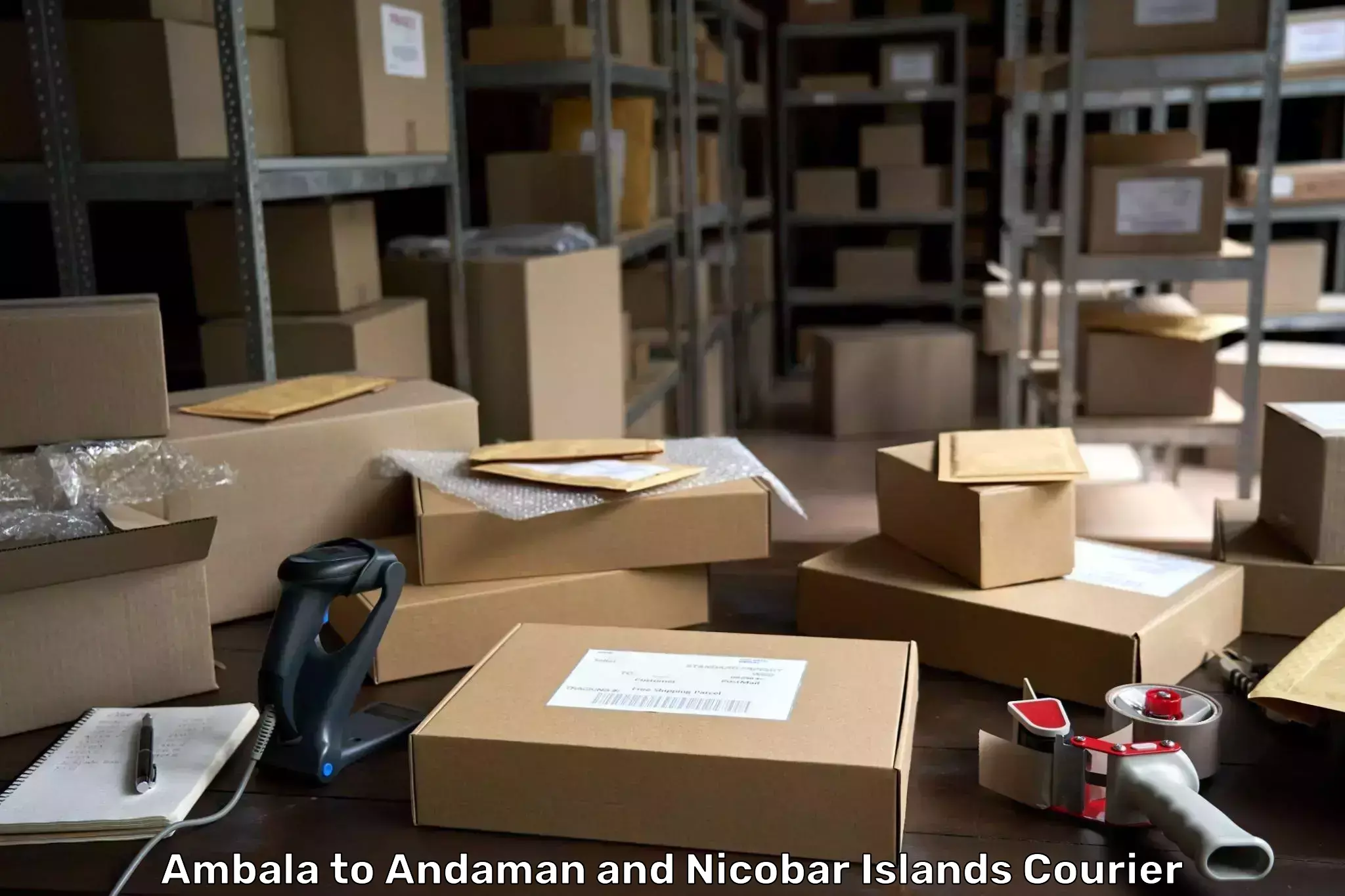 Logistics and distribution Ambala to Port Blair