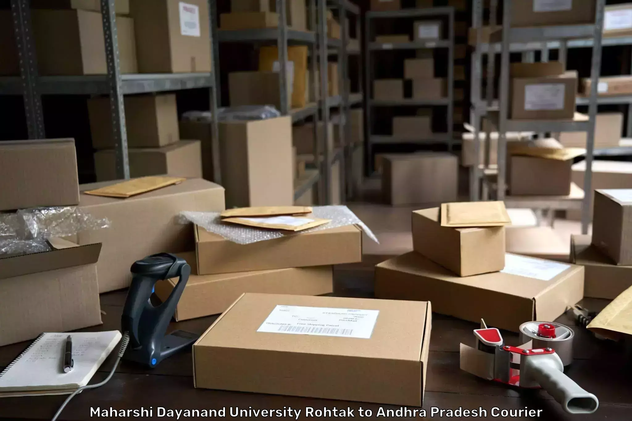 Flexible parcel services Maharshi Dayanand University Rohtak to Rajahmundry