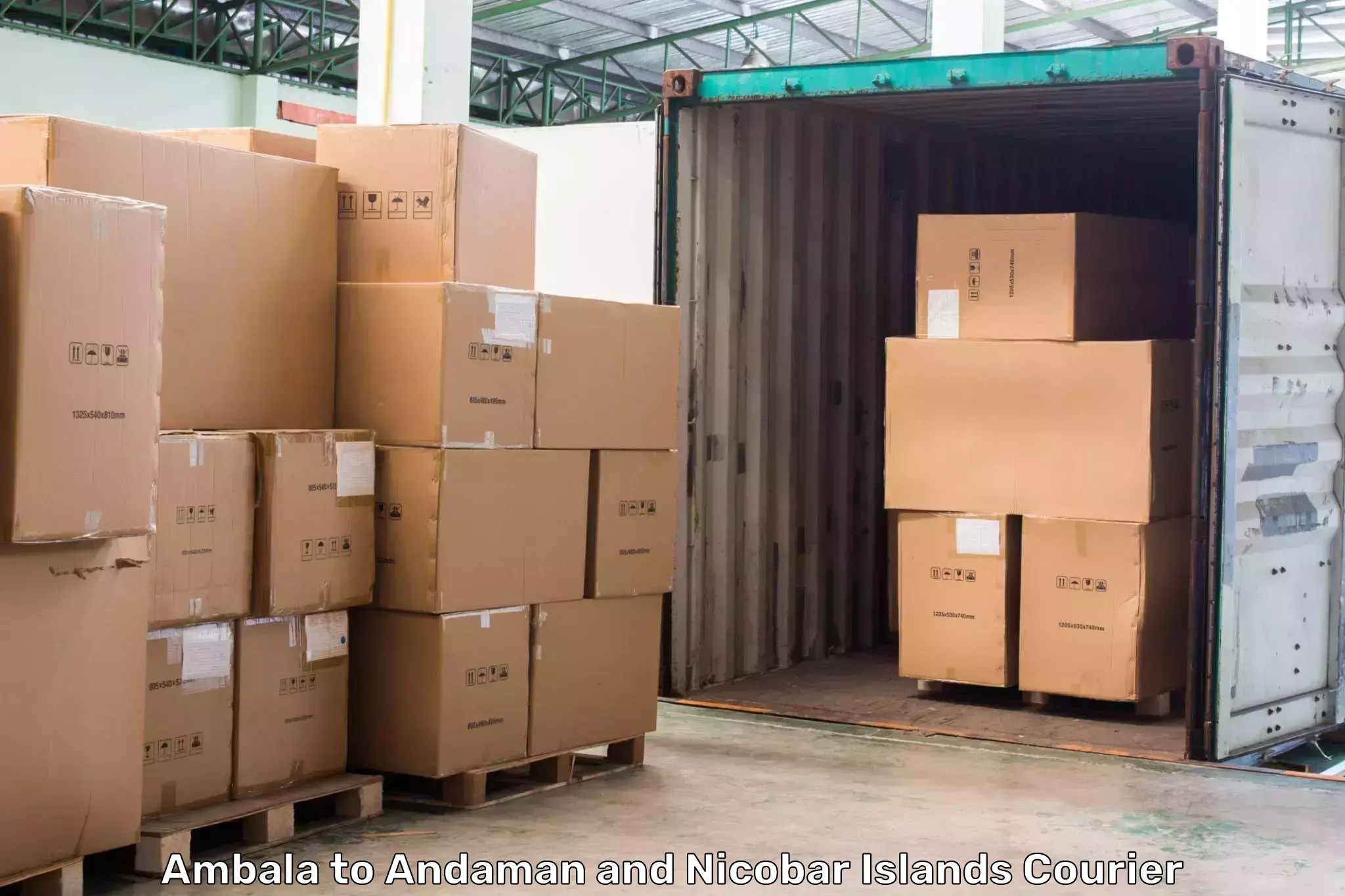 High-capacity shipping options Ambala to Andaman and Nicobar Islands