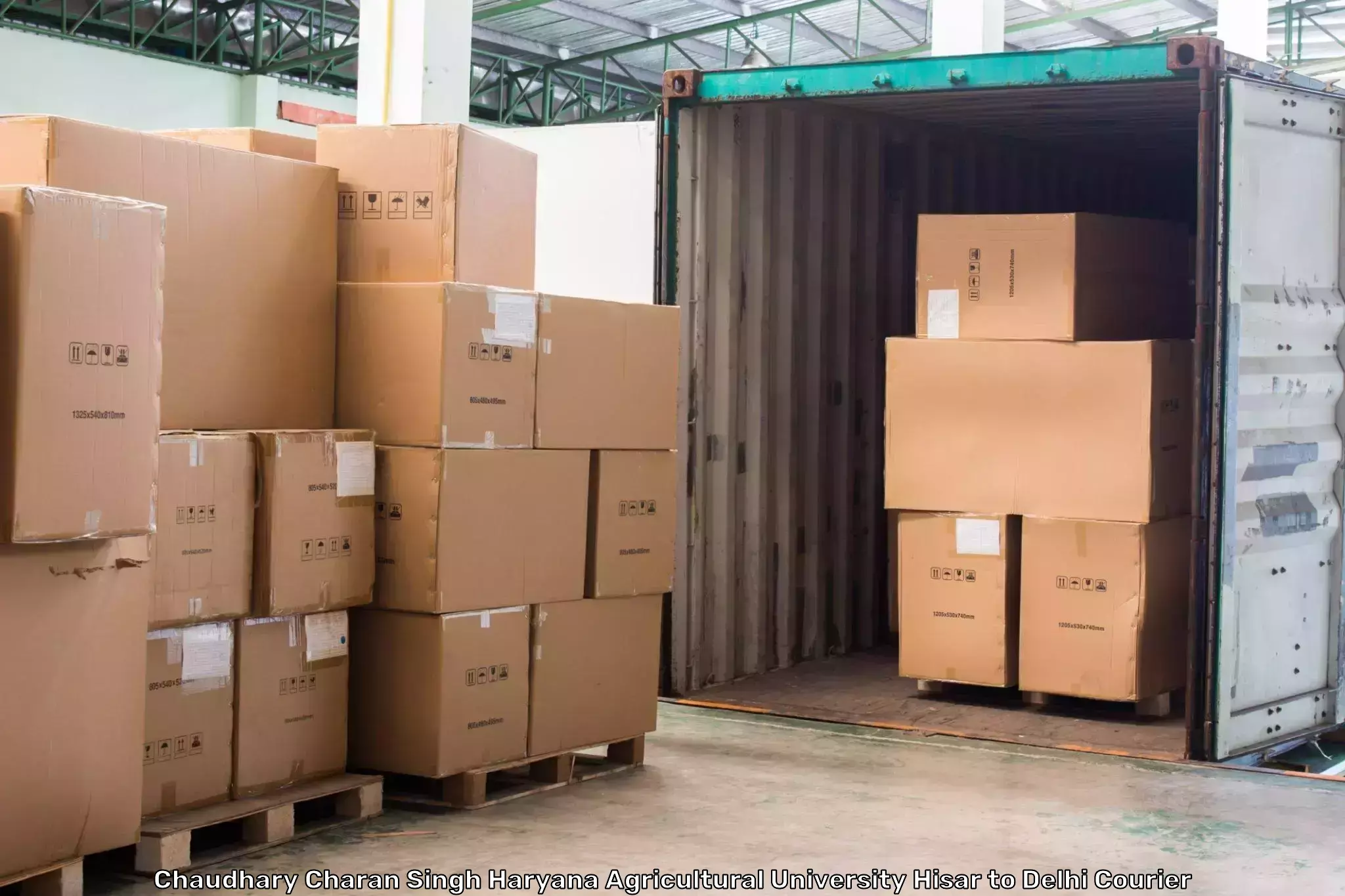Specialized shipment handling in Chaudhary Charan Singh Haryana Agricultural University Hisar to East Delhi