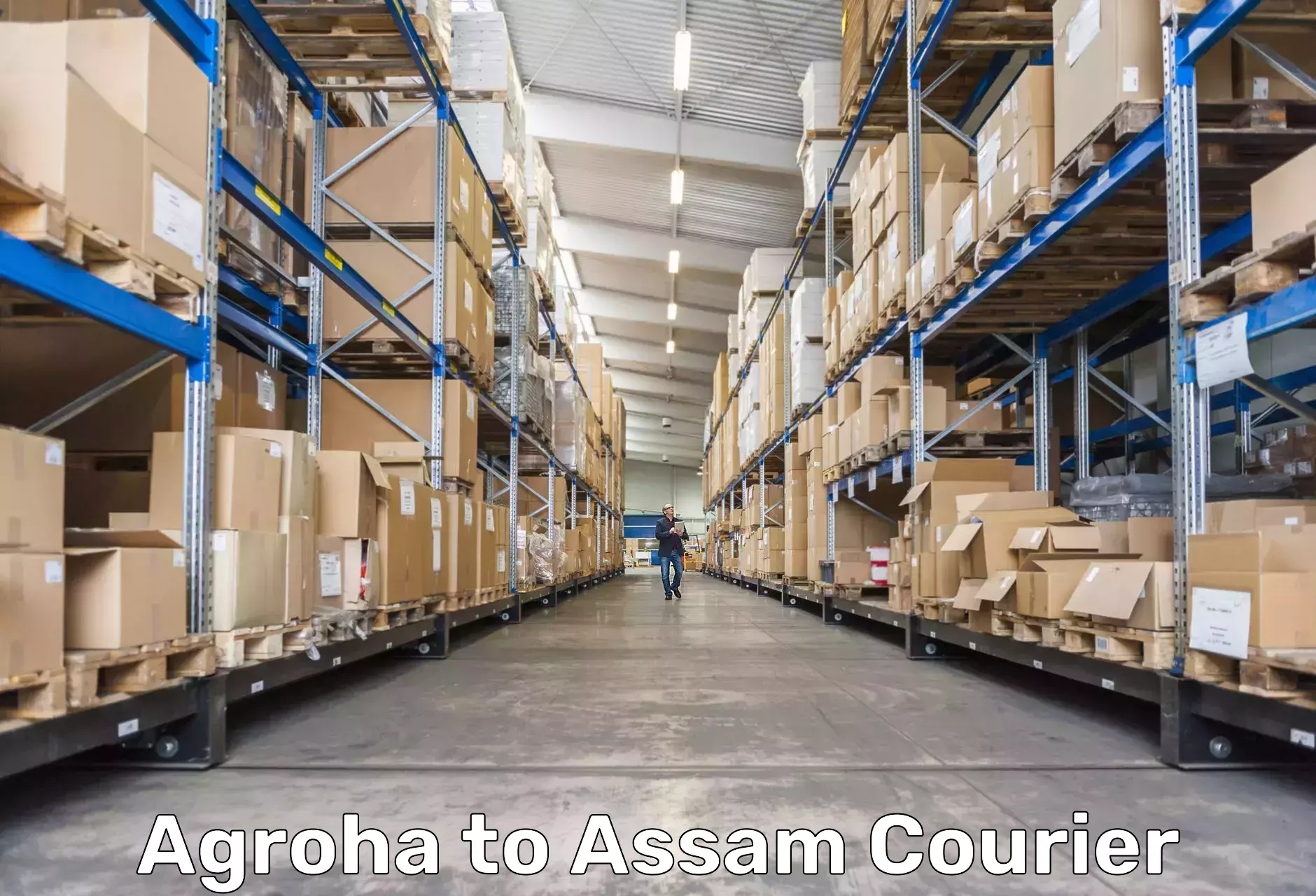 Courier app Agroha to Karbi Anglong