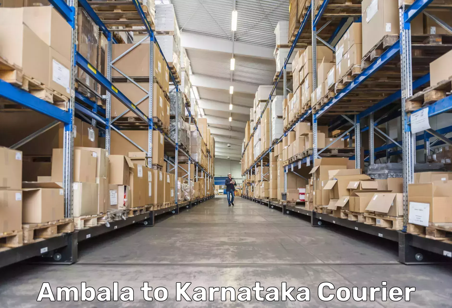 Express delivery capabilities Ambala to Karnataka