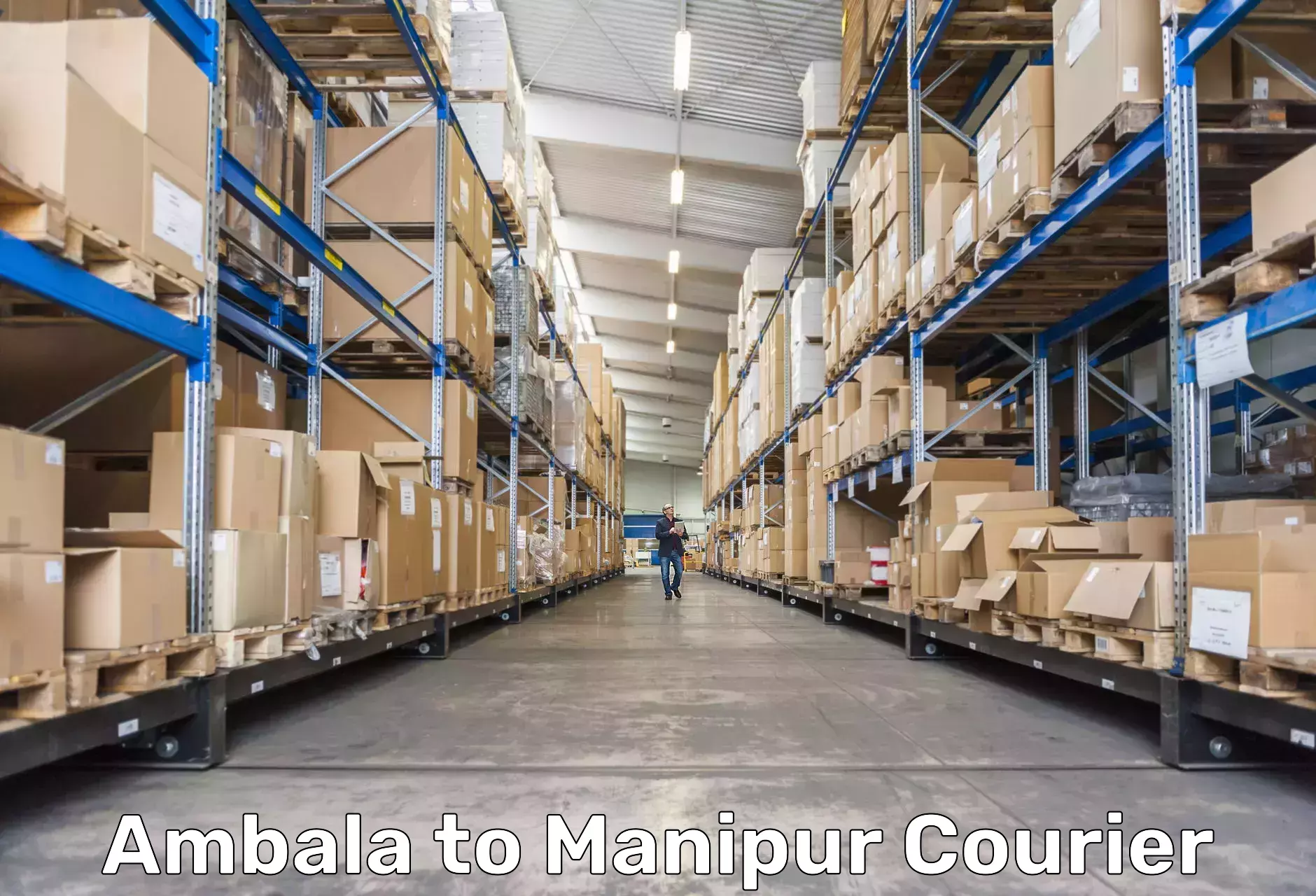 Customizable shipping options Ambala to Thoubal