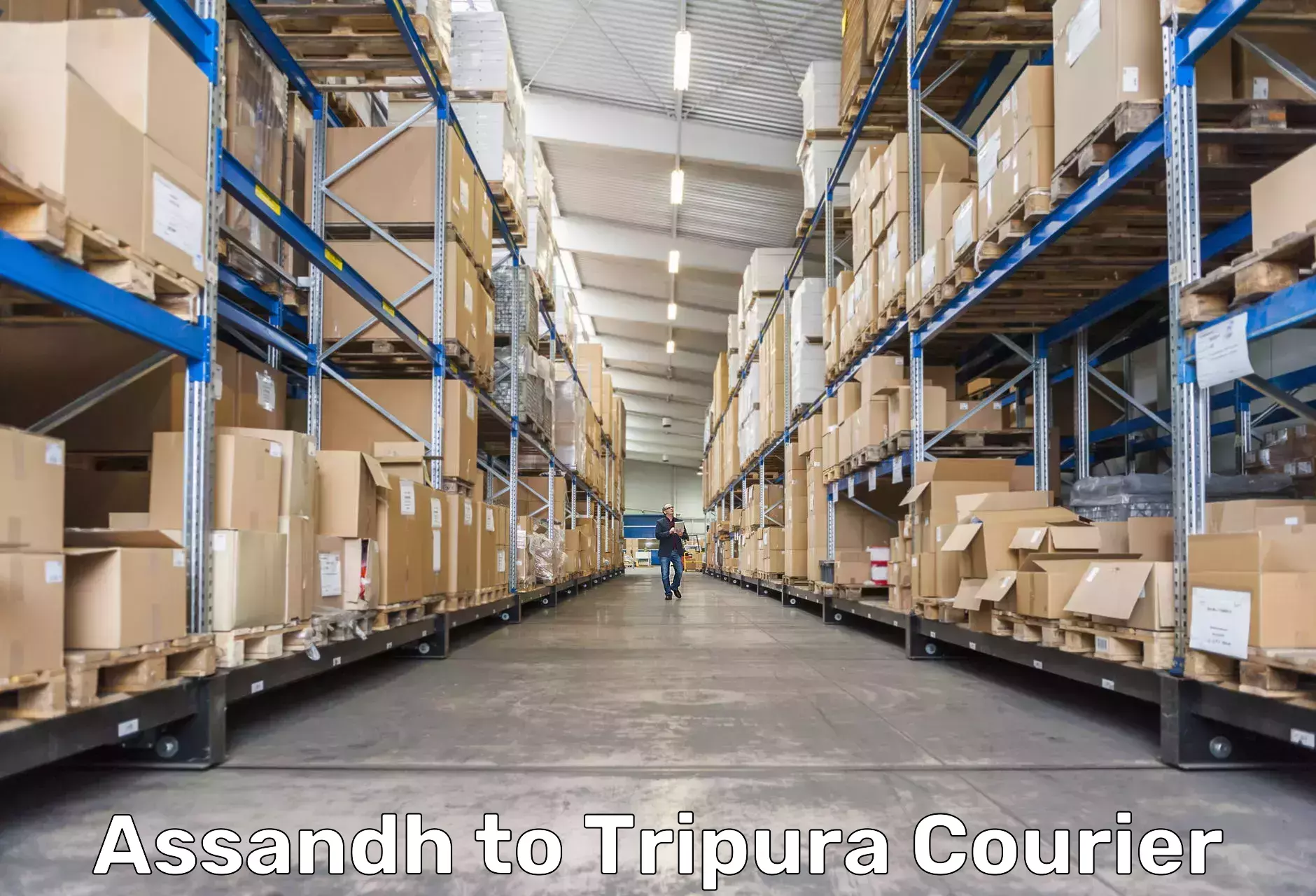 Express mail solutions Assandh to Tripura
