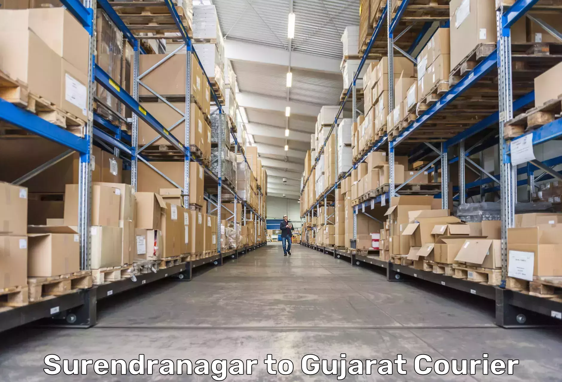 Sustainable shipping practices Surendranagar to Bharuch