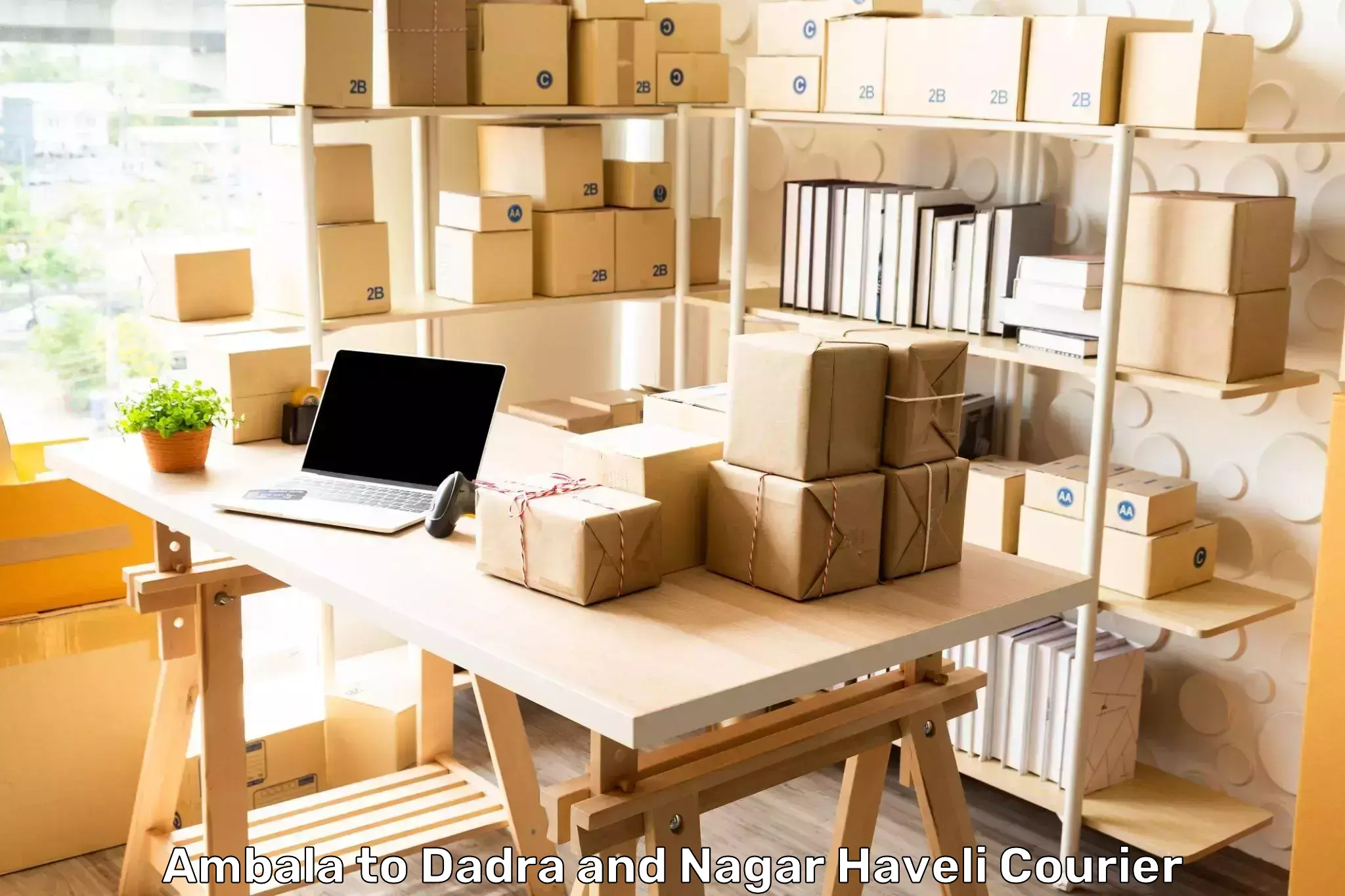 Cost-effective courier options Ambala to Dadra and Nagar Haveli