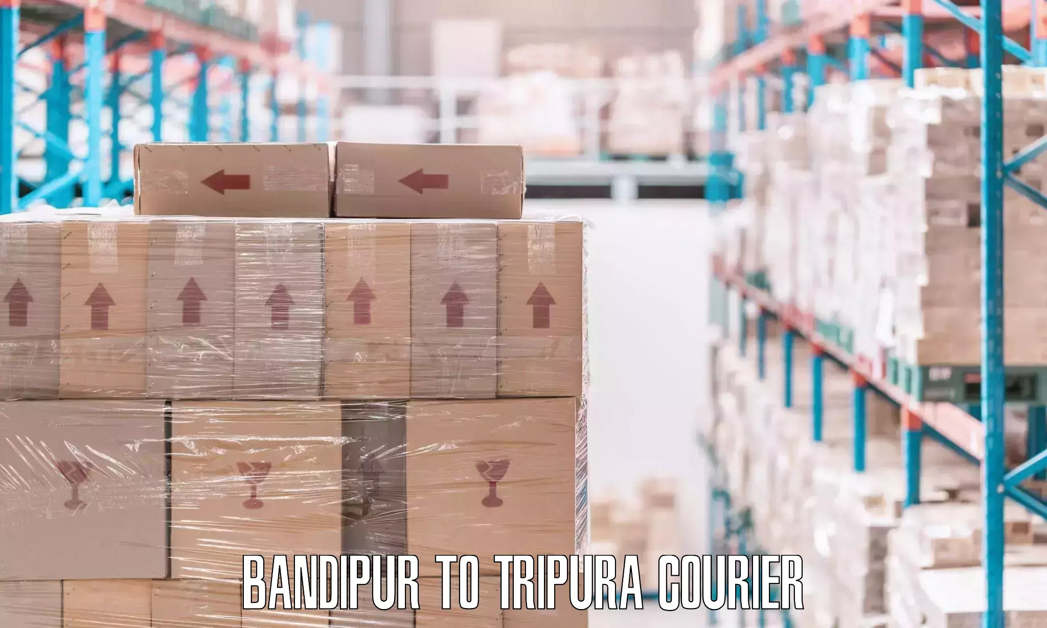 Household goods shipping Bandipur to Tripura
