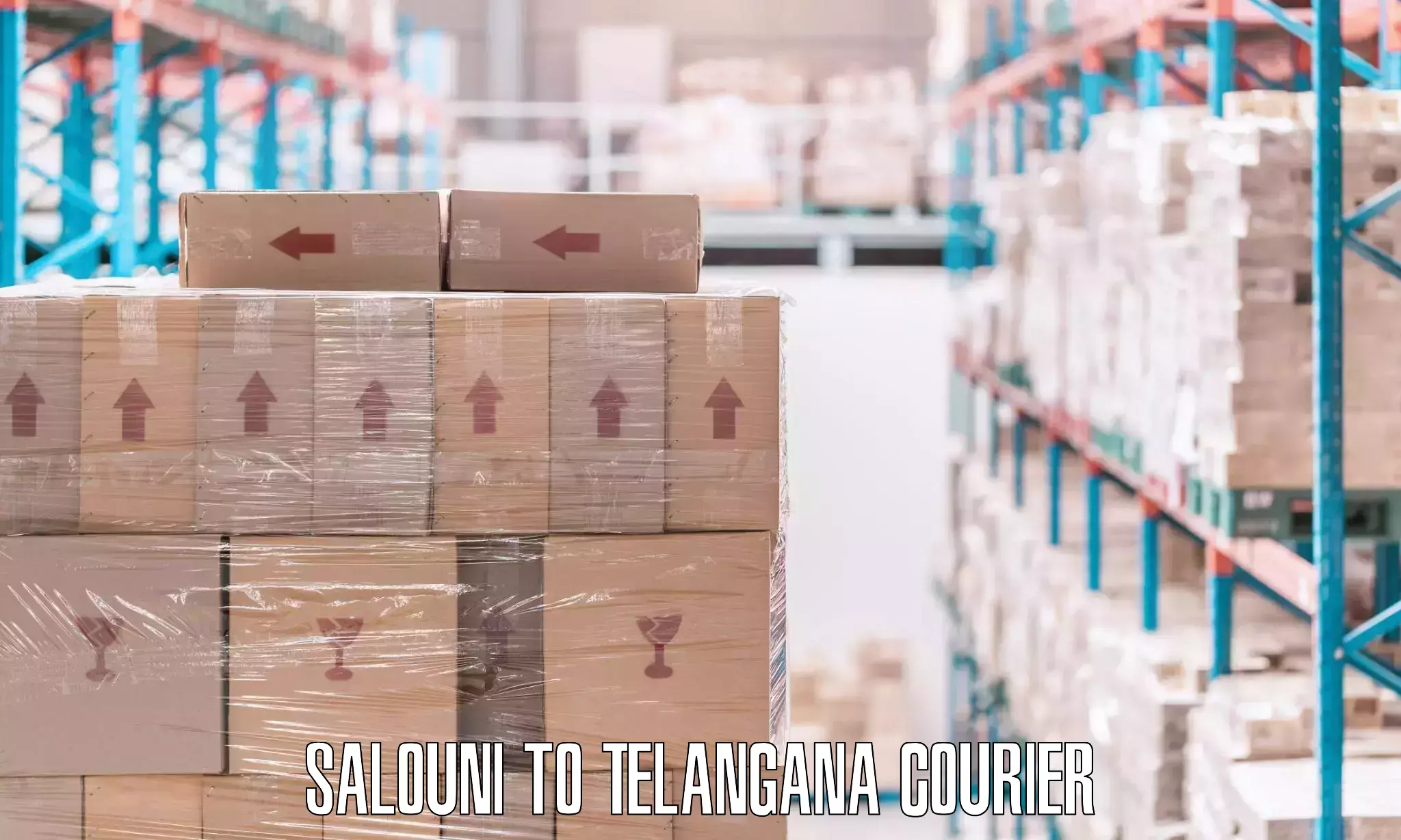 Furniture movers and packers Salouni to Telangana