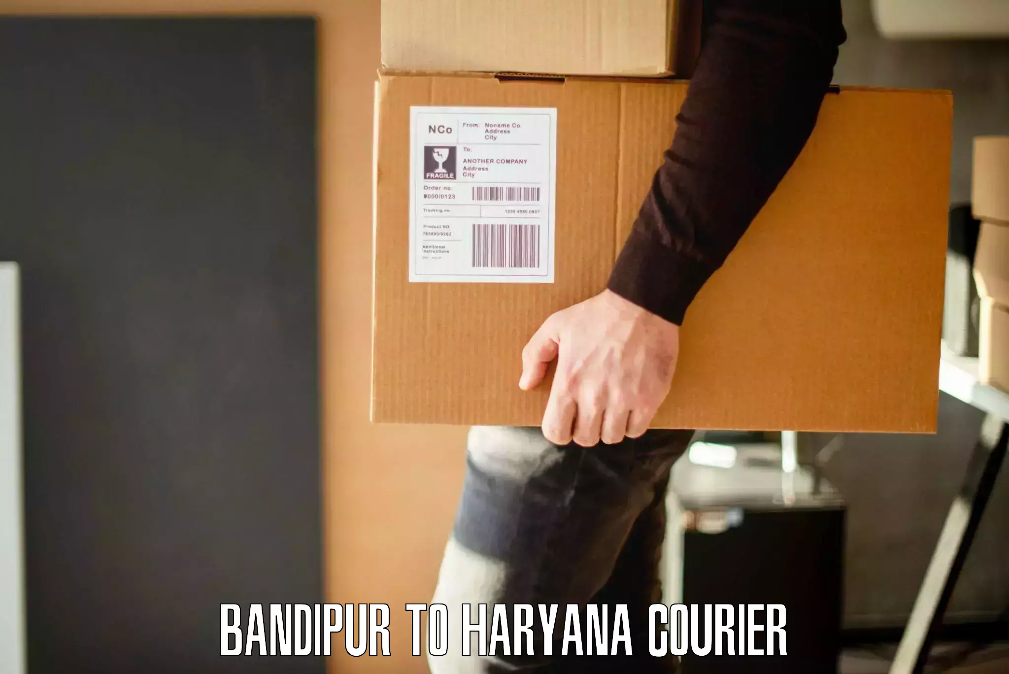 Furniture moving experts Bandipur to Haryana