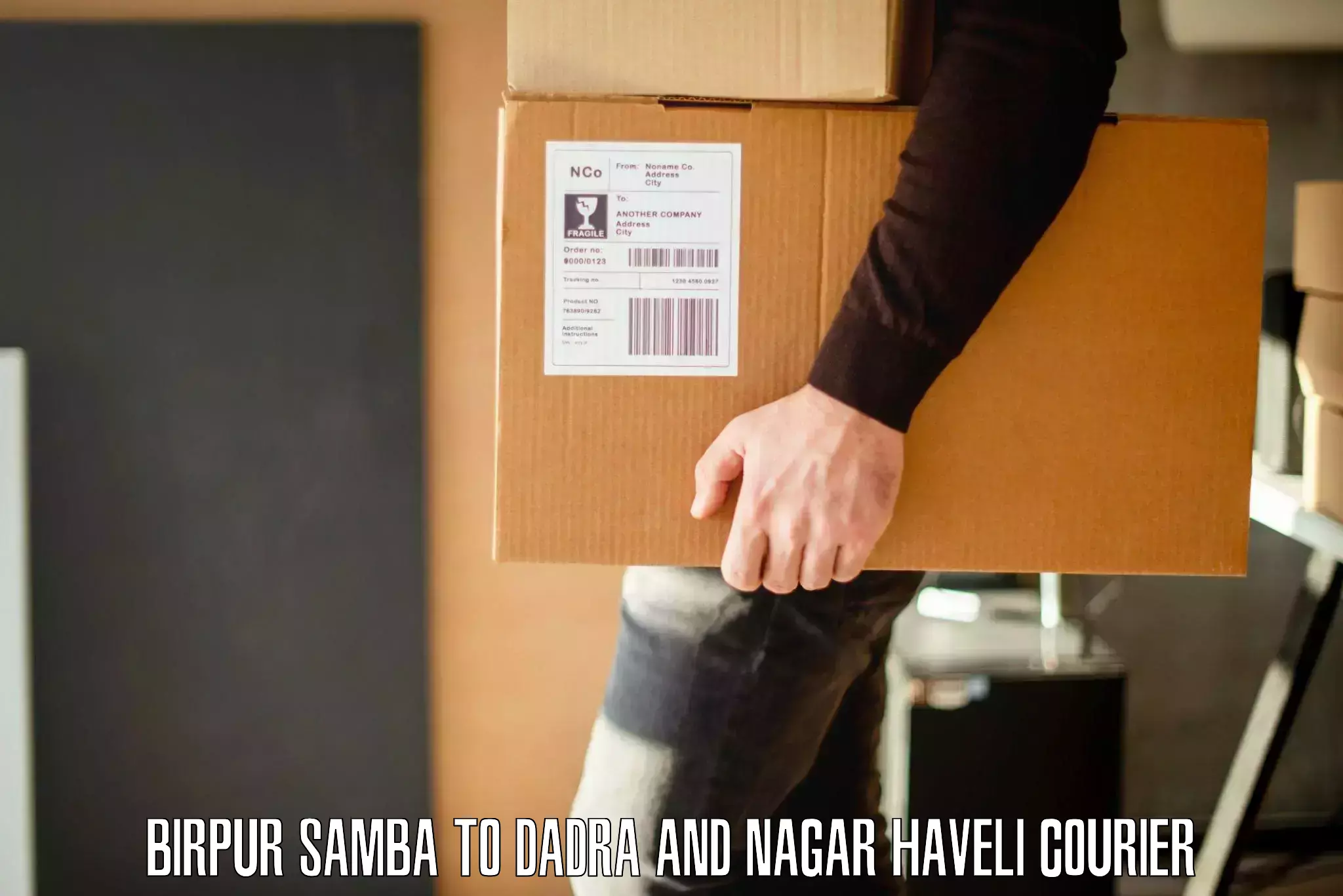 Safe moving services Birpur Samba to Dadra and Nagar Haveli