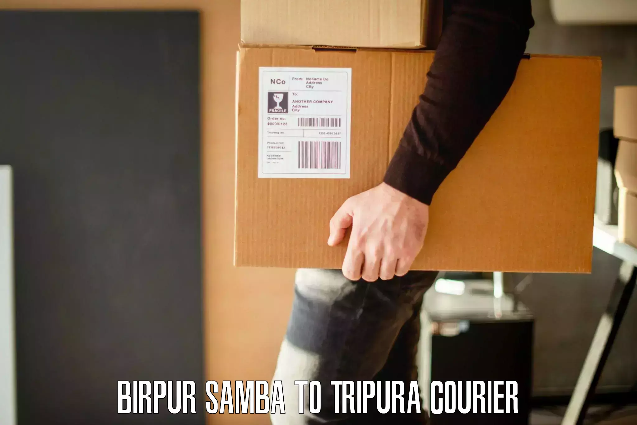 Quality moving company Birpur Samba to Bishalgarh