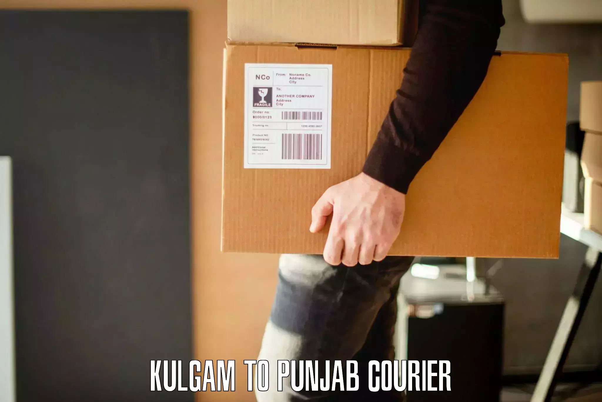 Furniture moving service Kulgam to Punjab