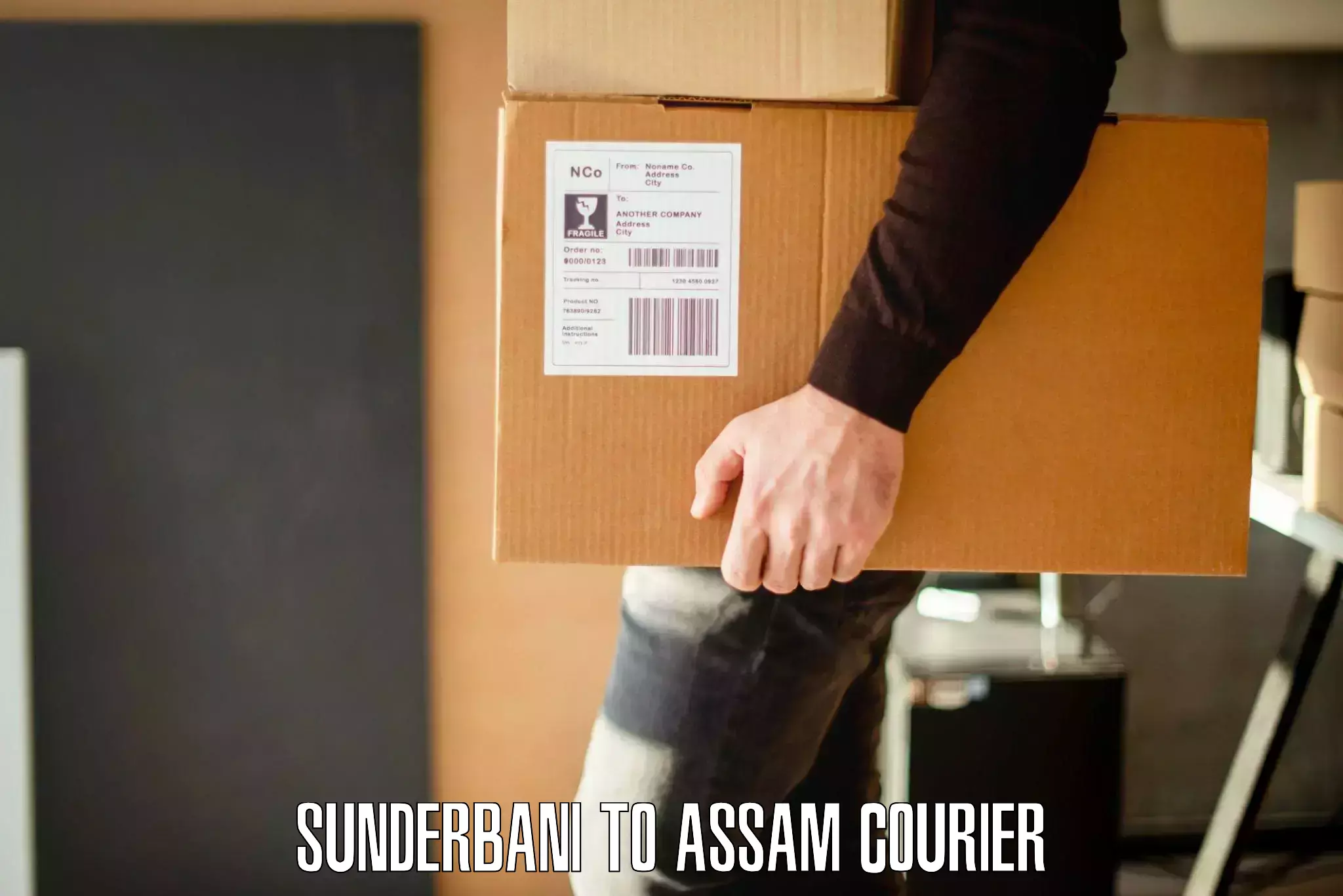 Safe furniture moving Sunderbani to Udalguri