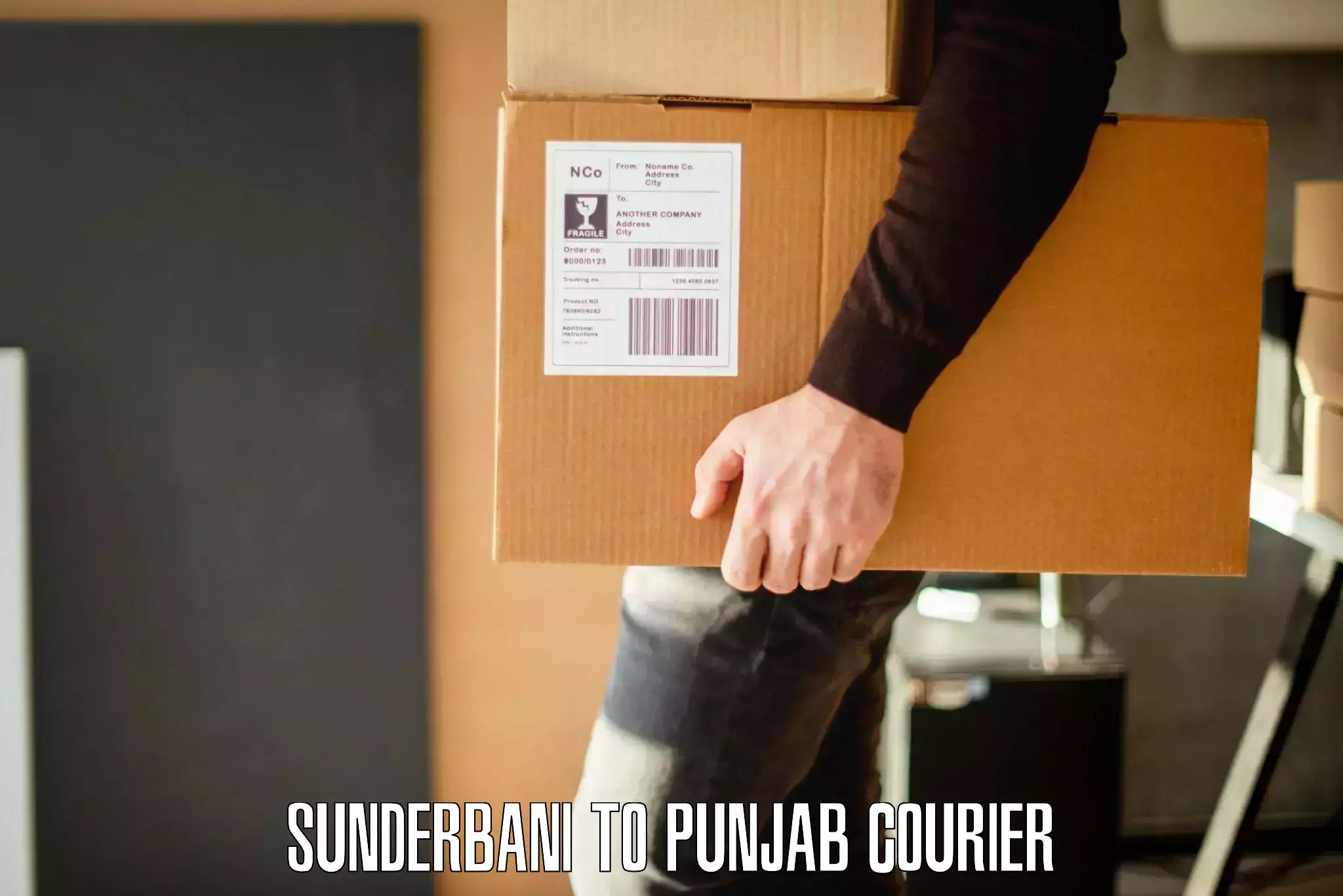 Expert goods movers Sunderbani to Punjab