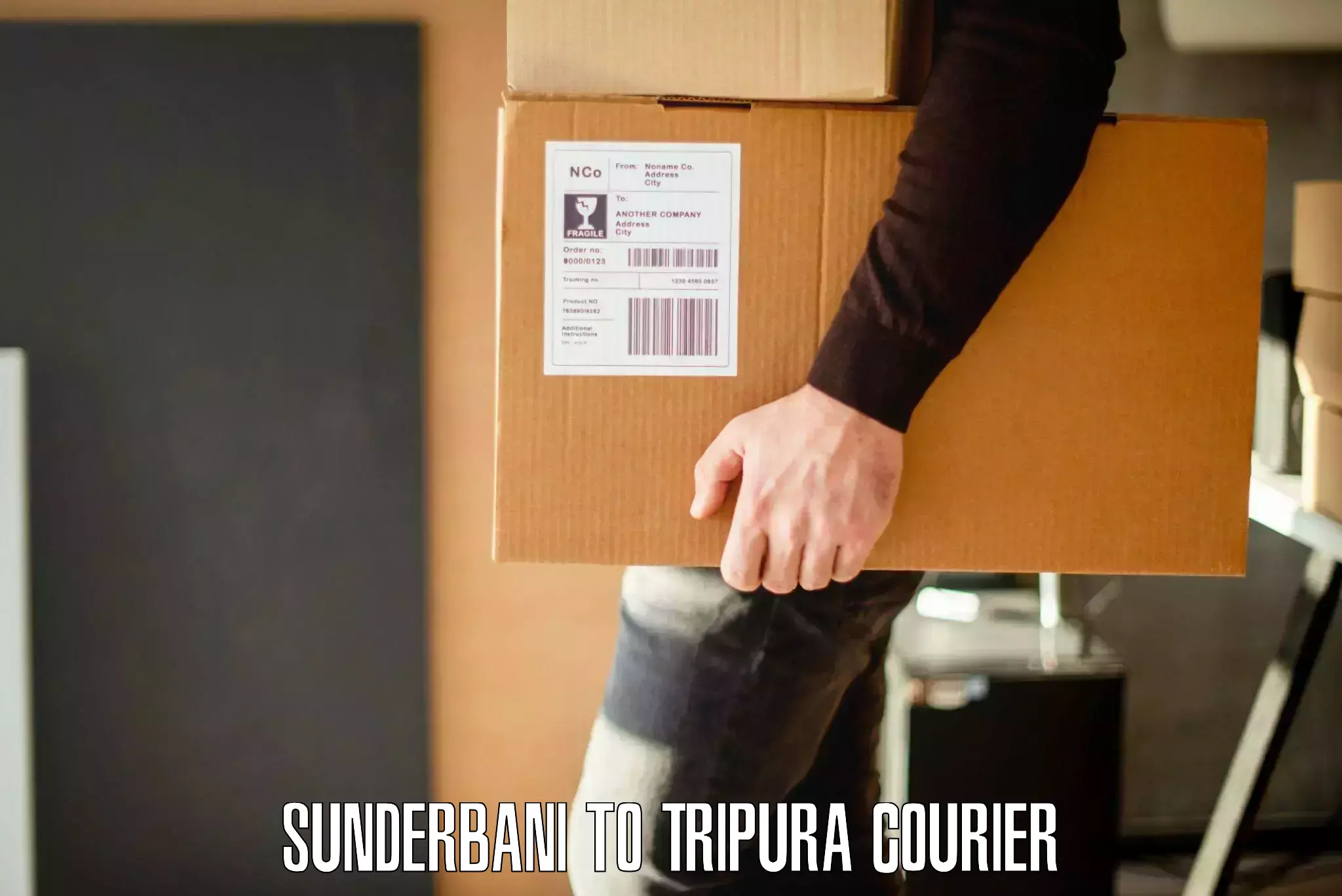 Efficient furniture movers in Sunderbani to Teliamura