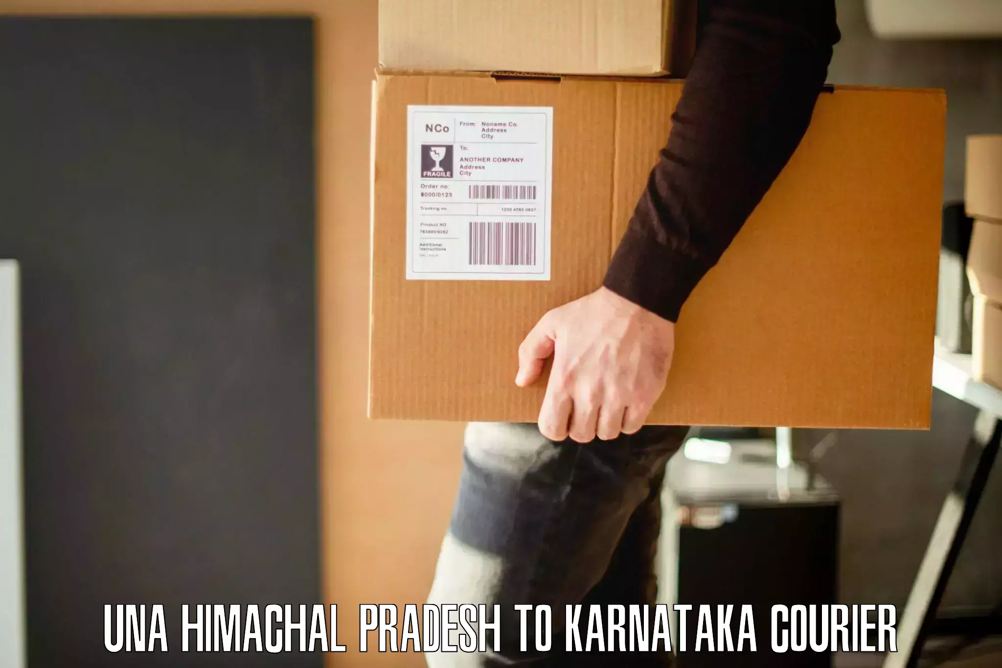 Quality furniture shipping Una Himachal Pradesh to Kadaba