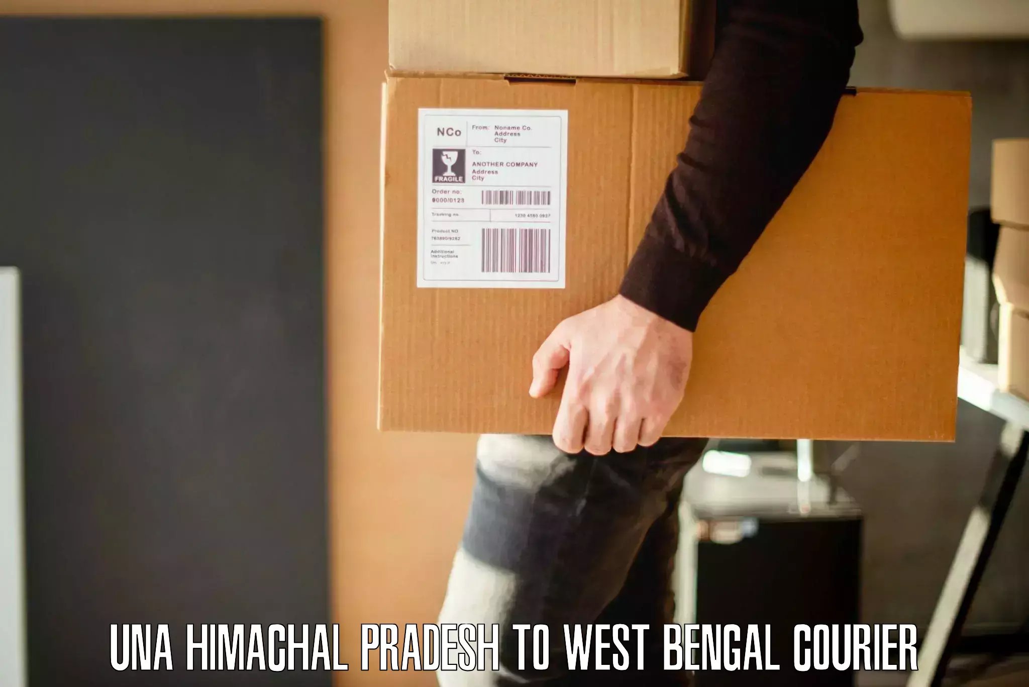 Affordable relocation services Una Himachal Pradesh to West Bengal