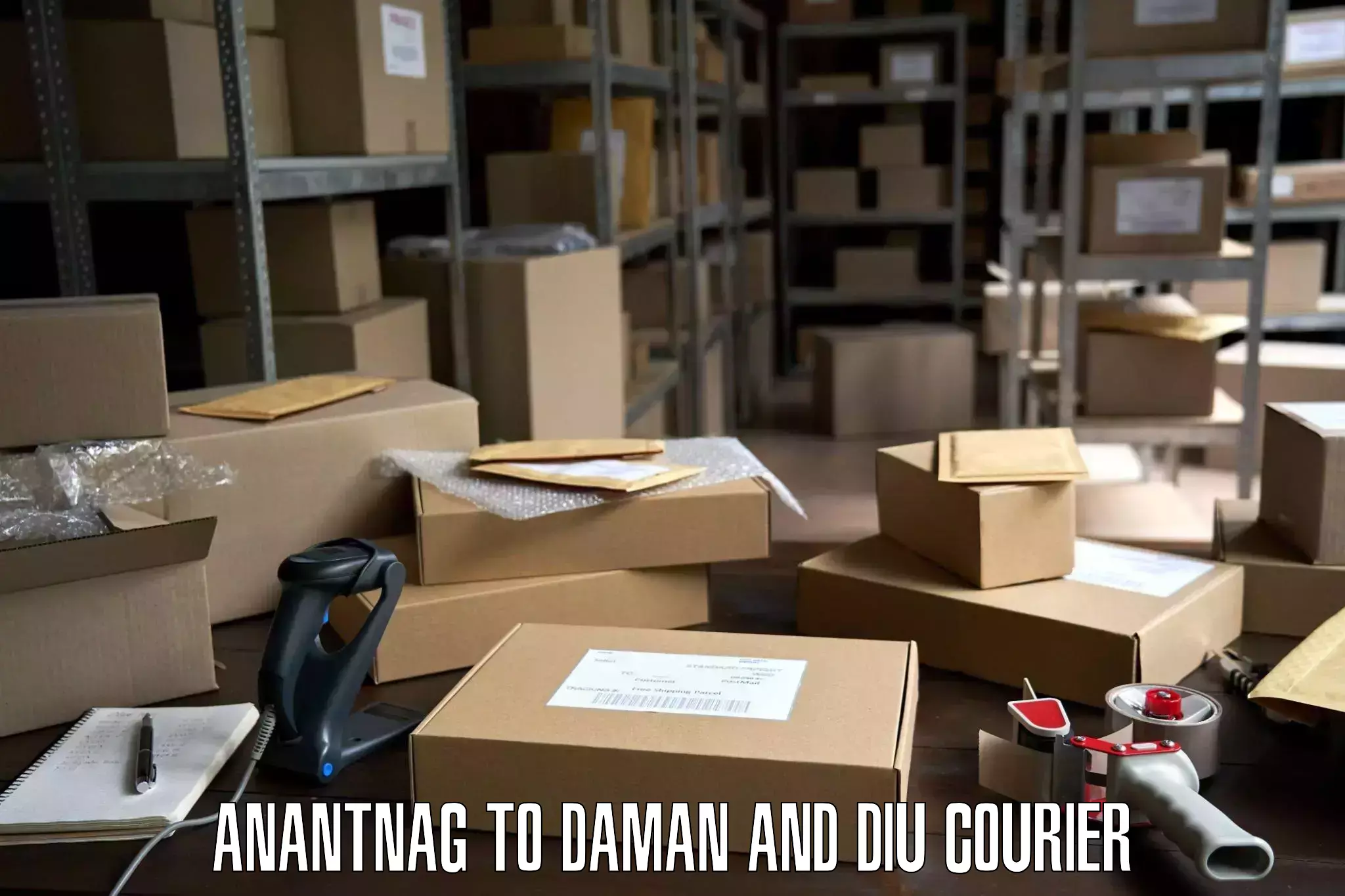 Skilled furniture transport Anantnag to Daman and Diu