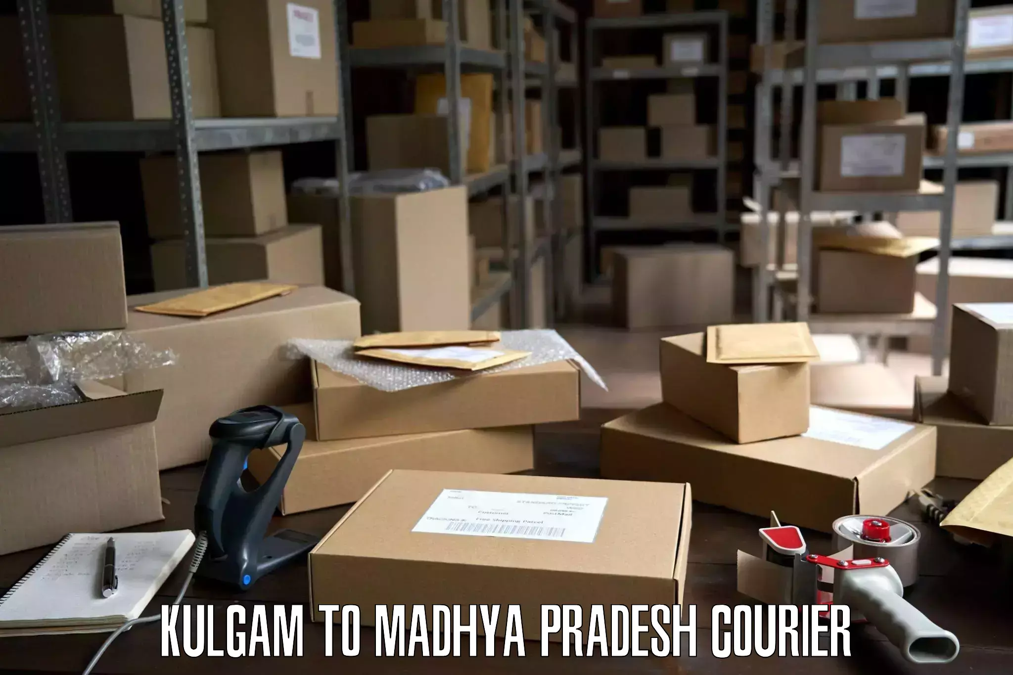 Personalized relocation solutions Kulgam to Madhya Pradesh