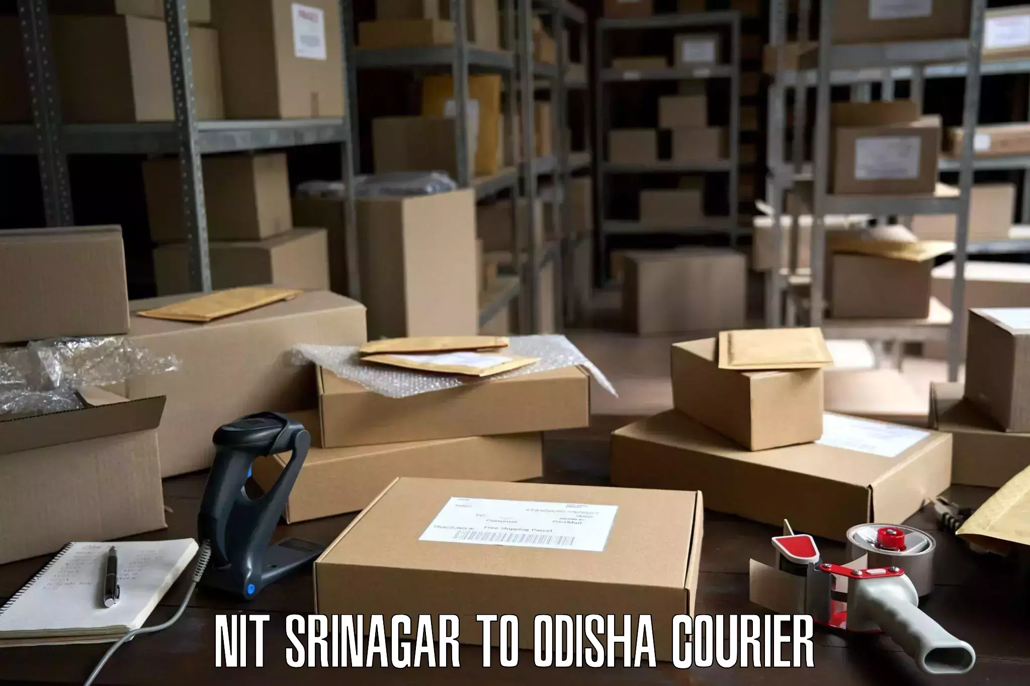 Professional moving company NIT Srinagar to Gajapati