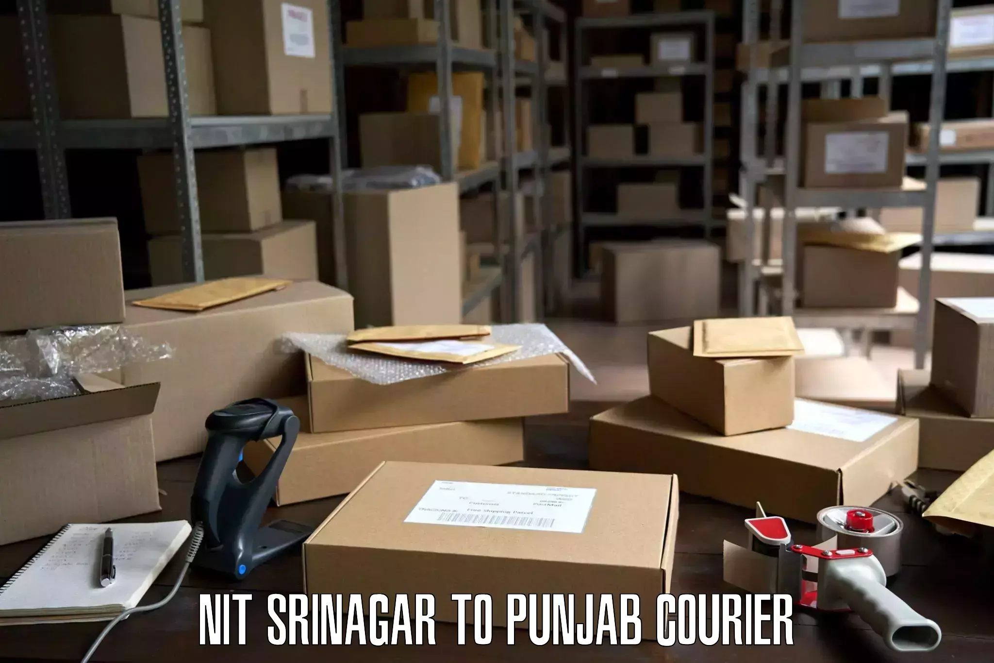 Door-to-door relocation services NIT Srinagar to Punjab Agricultural University Ludhiana