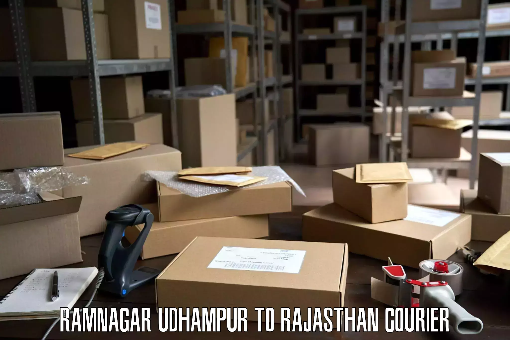 Cost-effective moving solutions in Ramnagar Udhampur to Chittorgarh