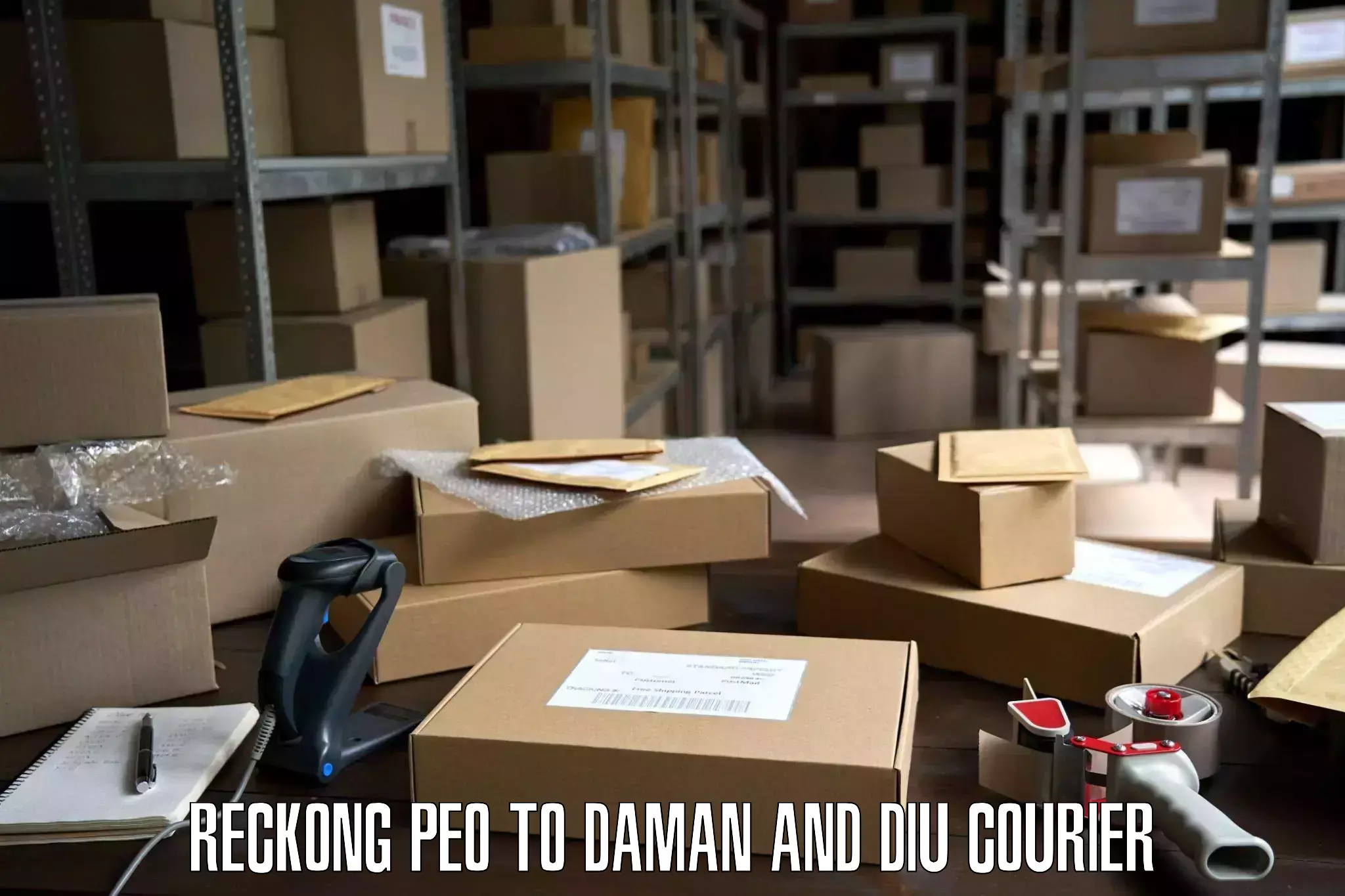 Customized furniture moving Reckong Peo to Daman and Diu