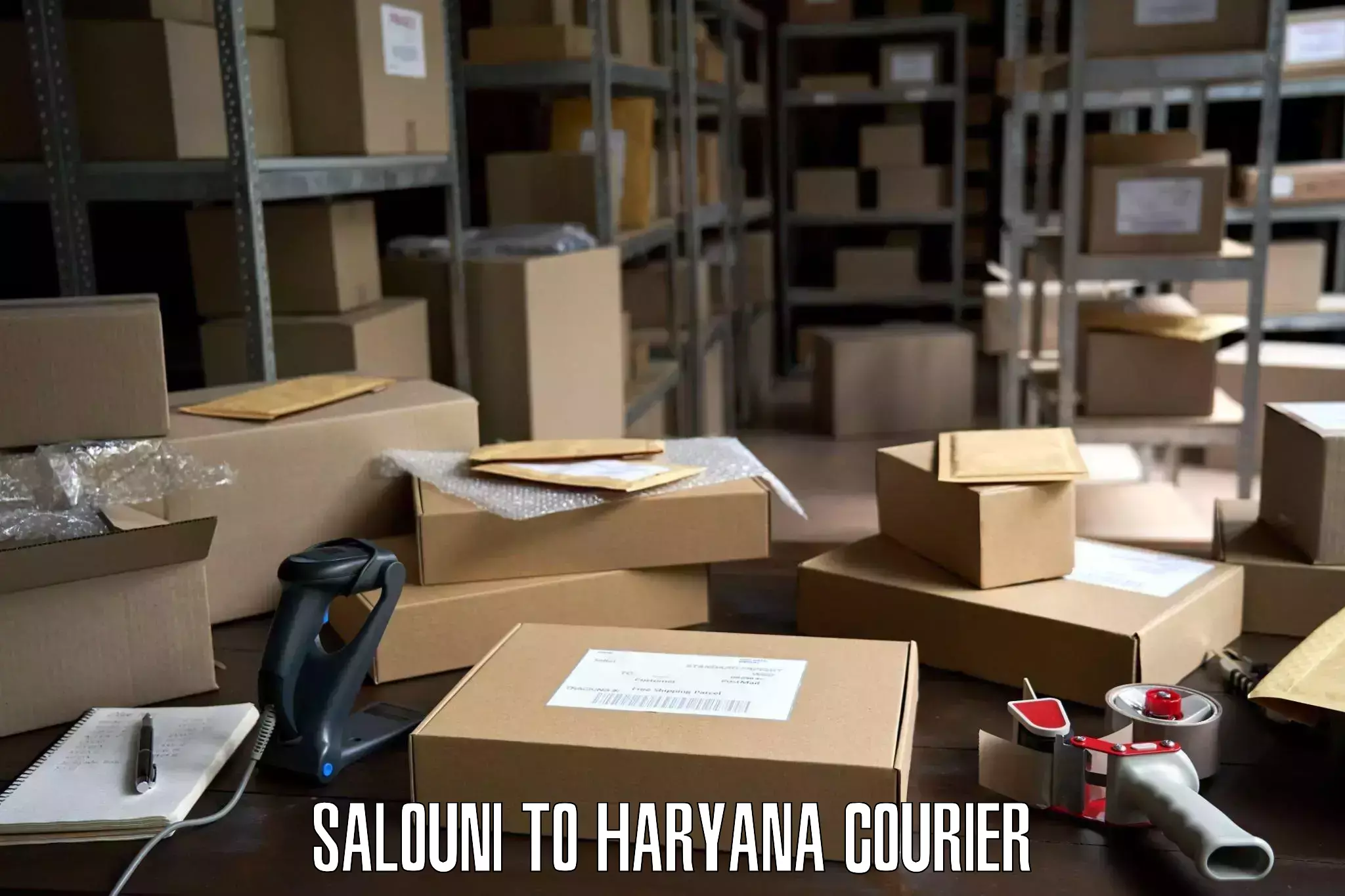Household moving companies Salouni to Haryana