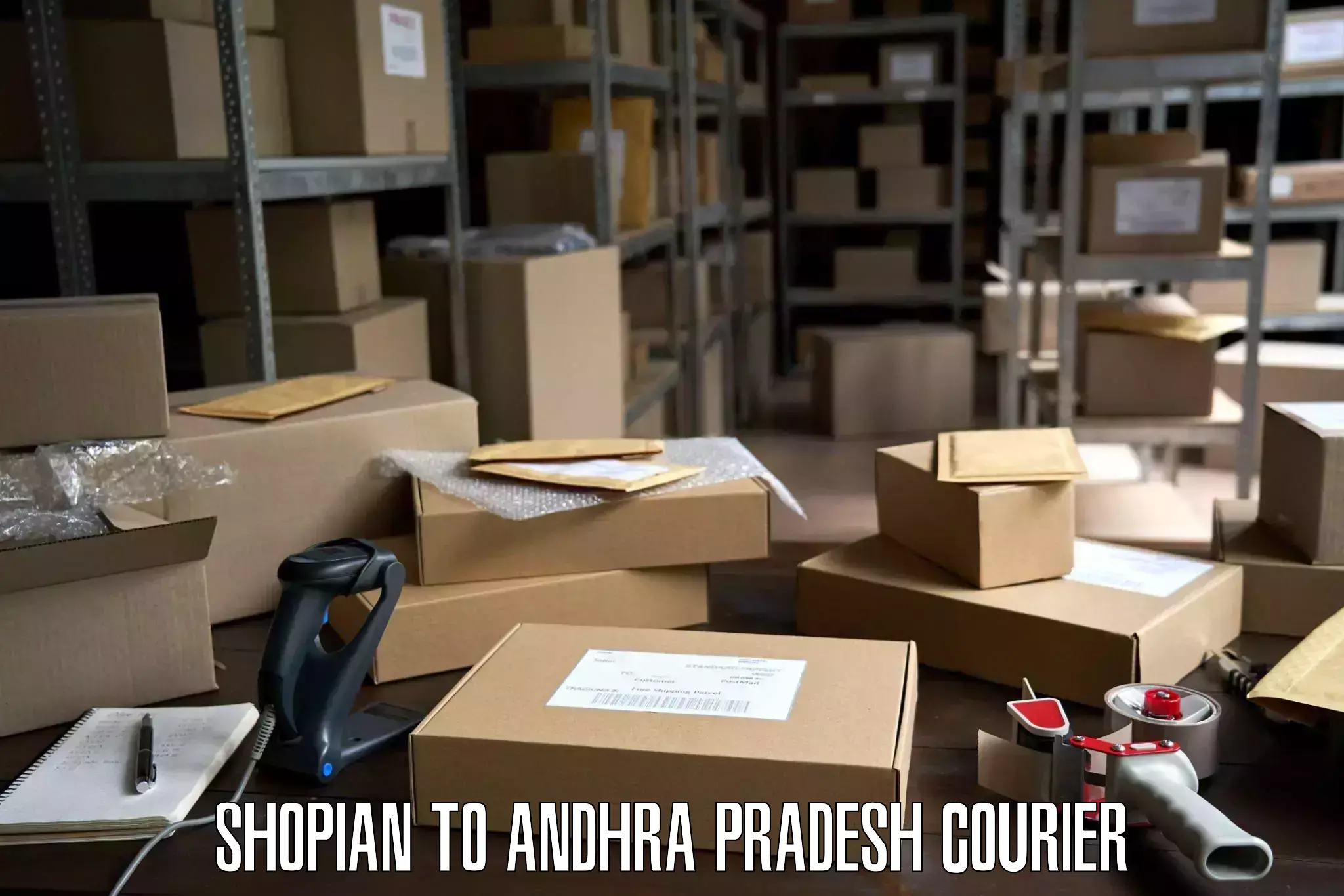 Household goods delivery Shopian to Dwaraka Tirumala