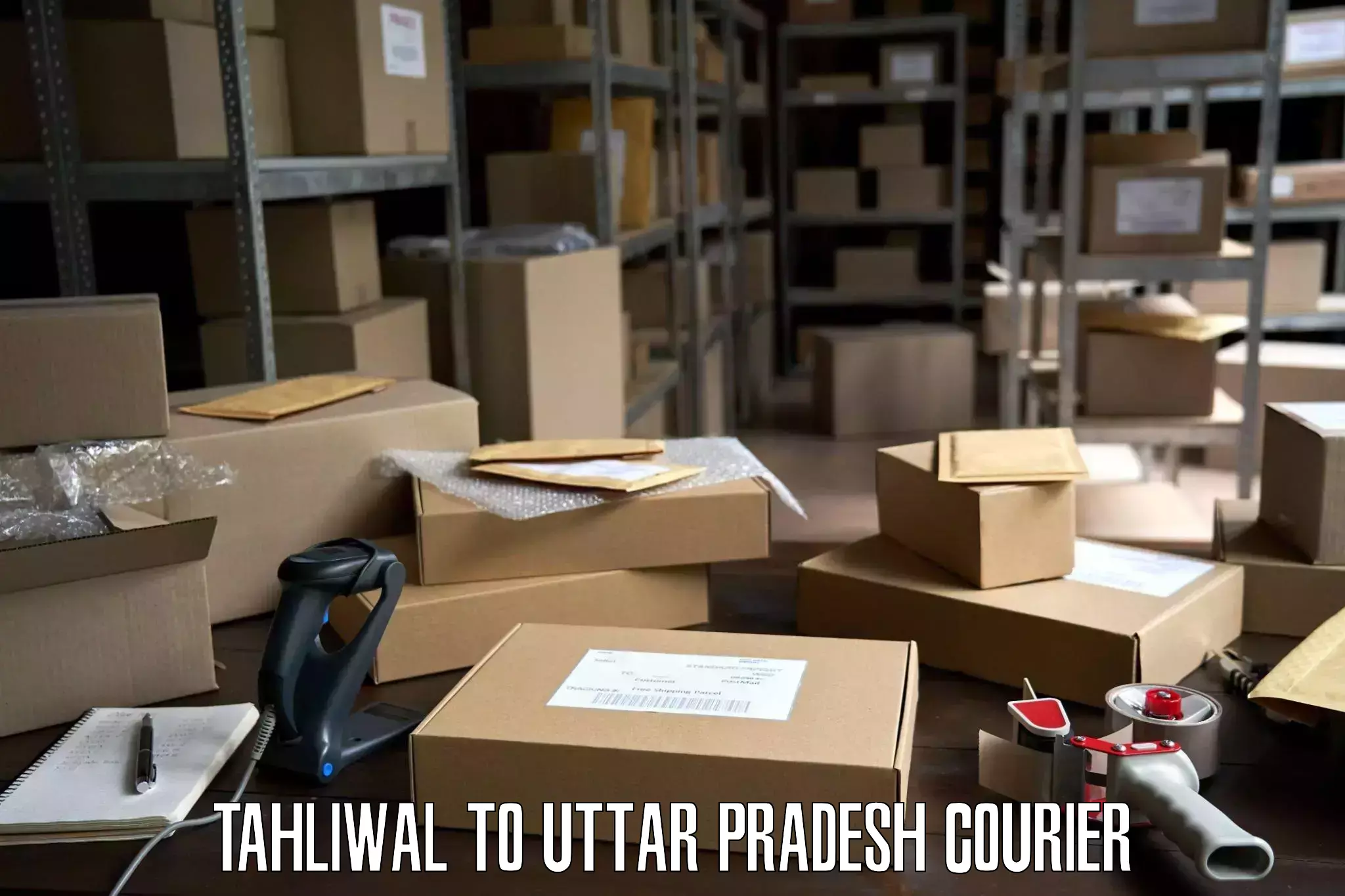 Furniture transport service Tahliwal to Uttar Pradesh