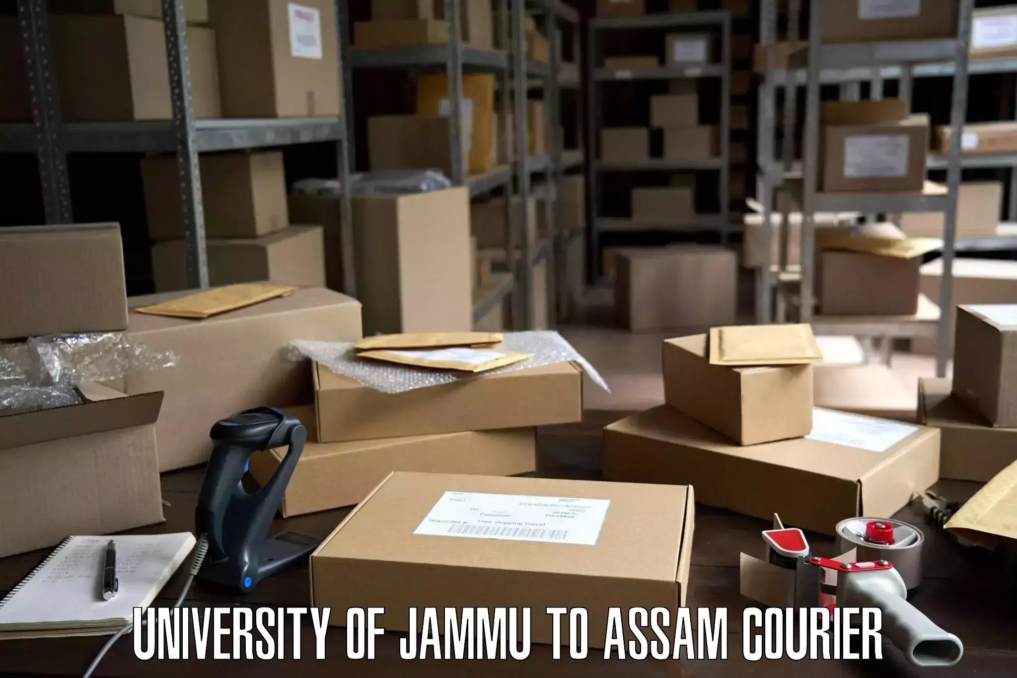 Efficient home goods movers University of Jammu to Karbi Anglong