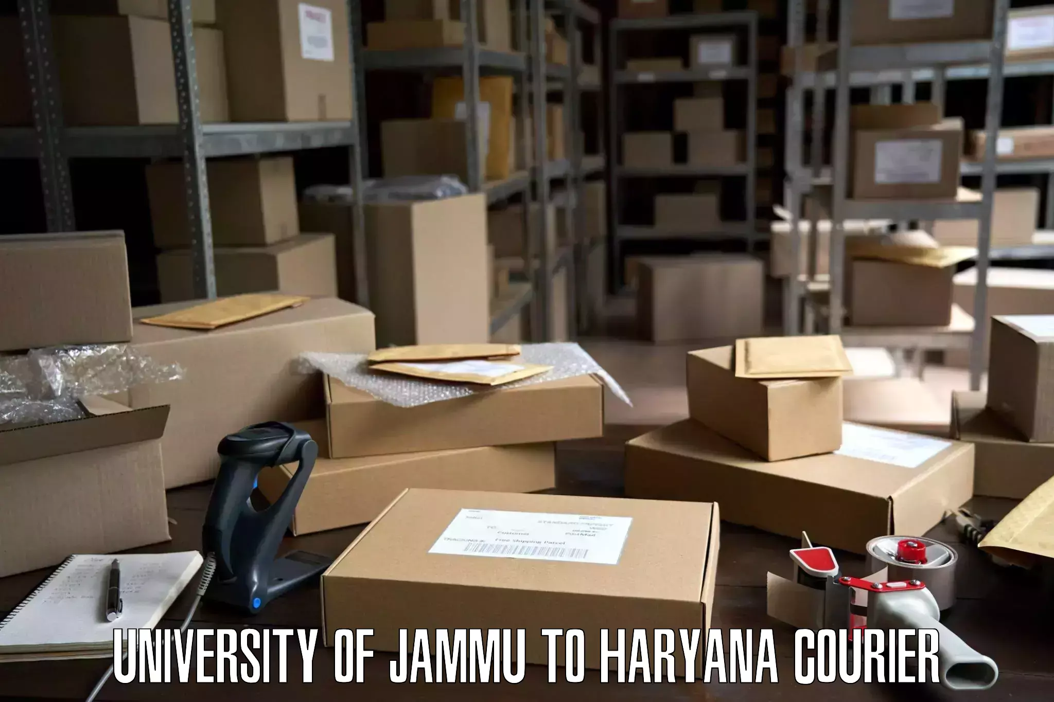 Furniture delivery service University of Jammu to Ambala