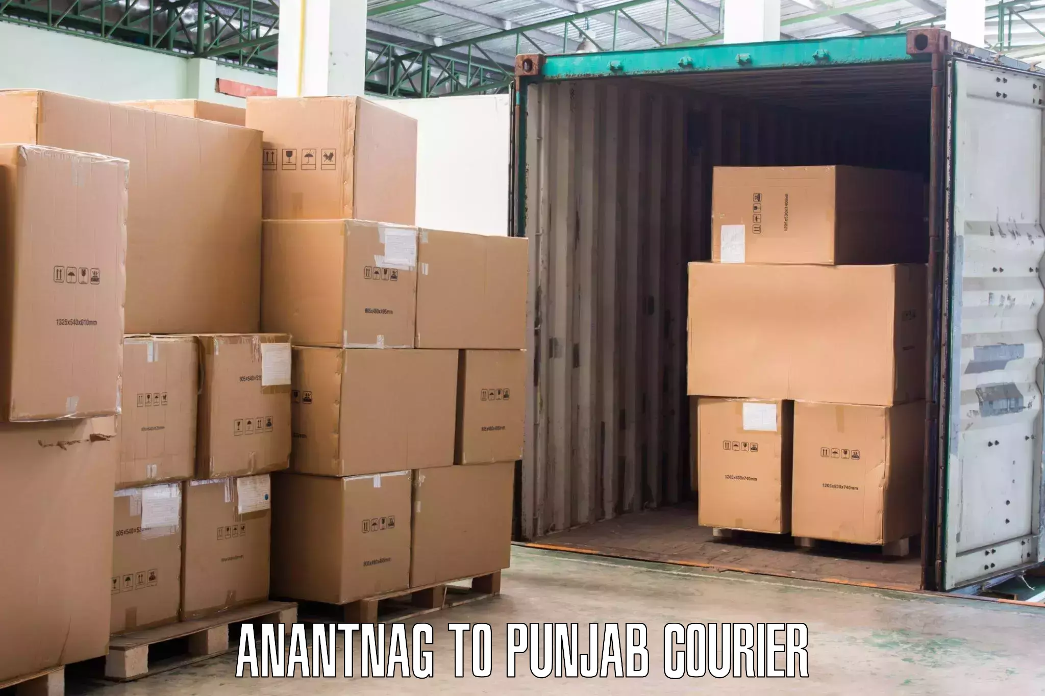 Furniture transport professionals Anantnag to Dera Bassi