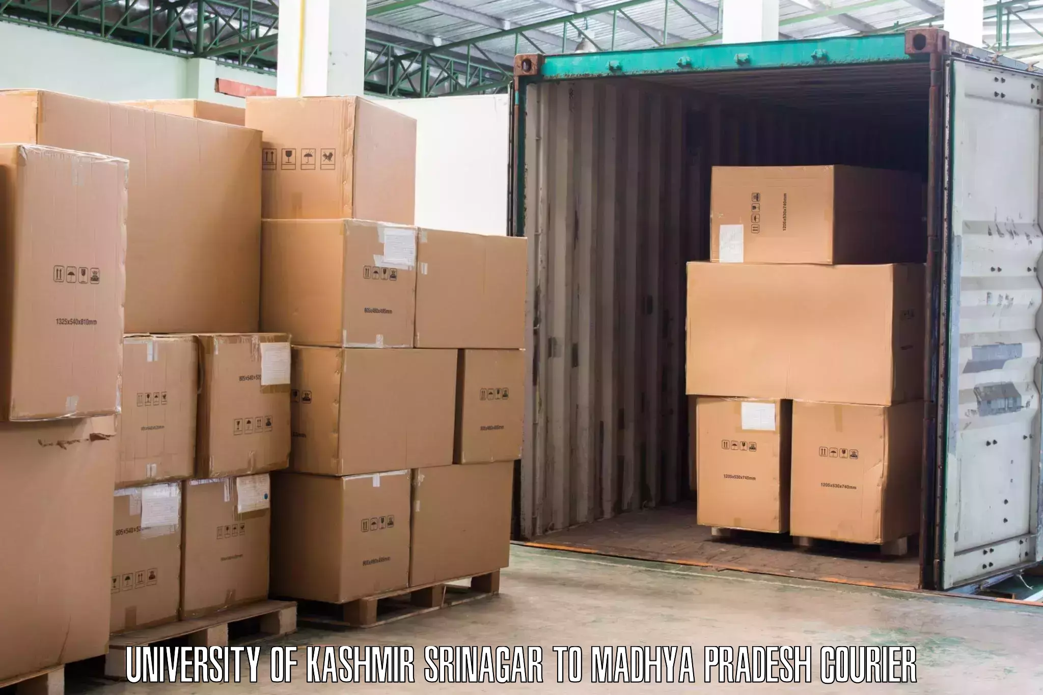 Professional movers and packers University of Kashmir Srinagar to Dewas