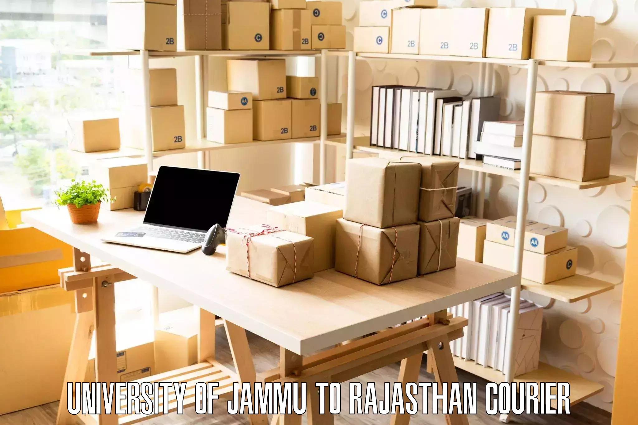 Furniture transport and storage University of Jammu to Khinwara