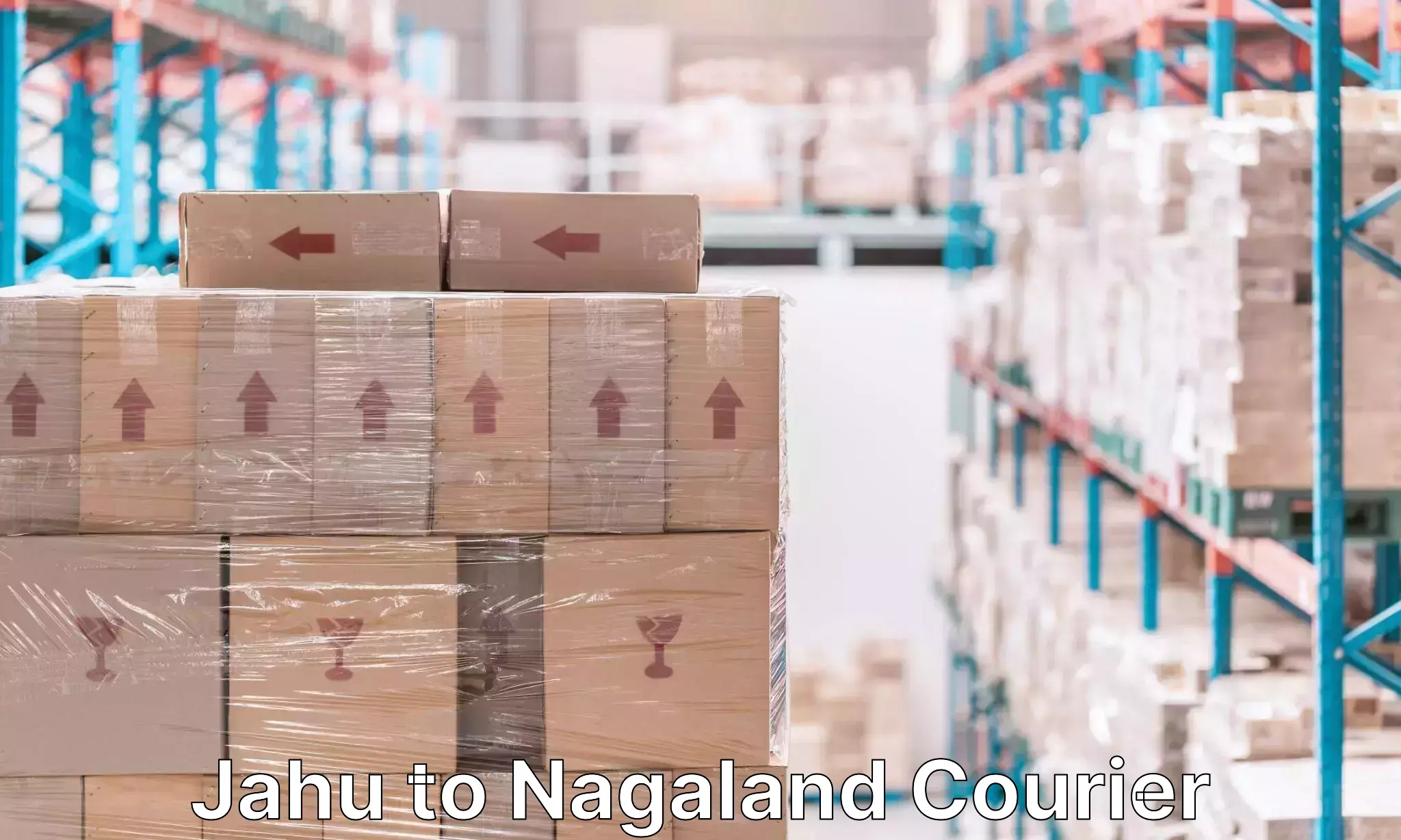 Overnight baggage shipping Jahu to Nagaland